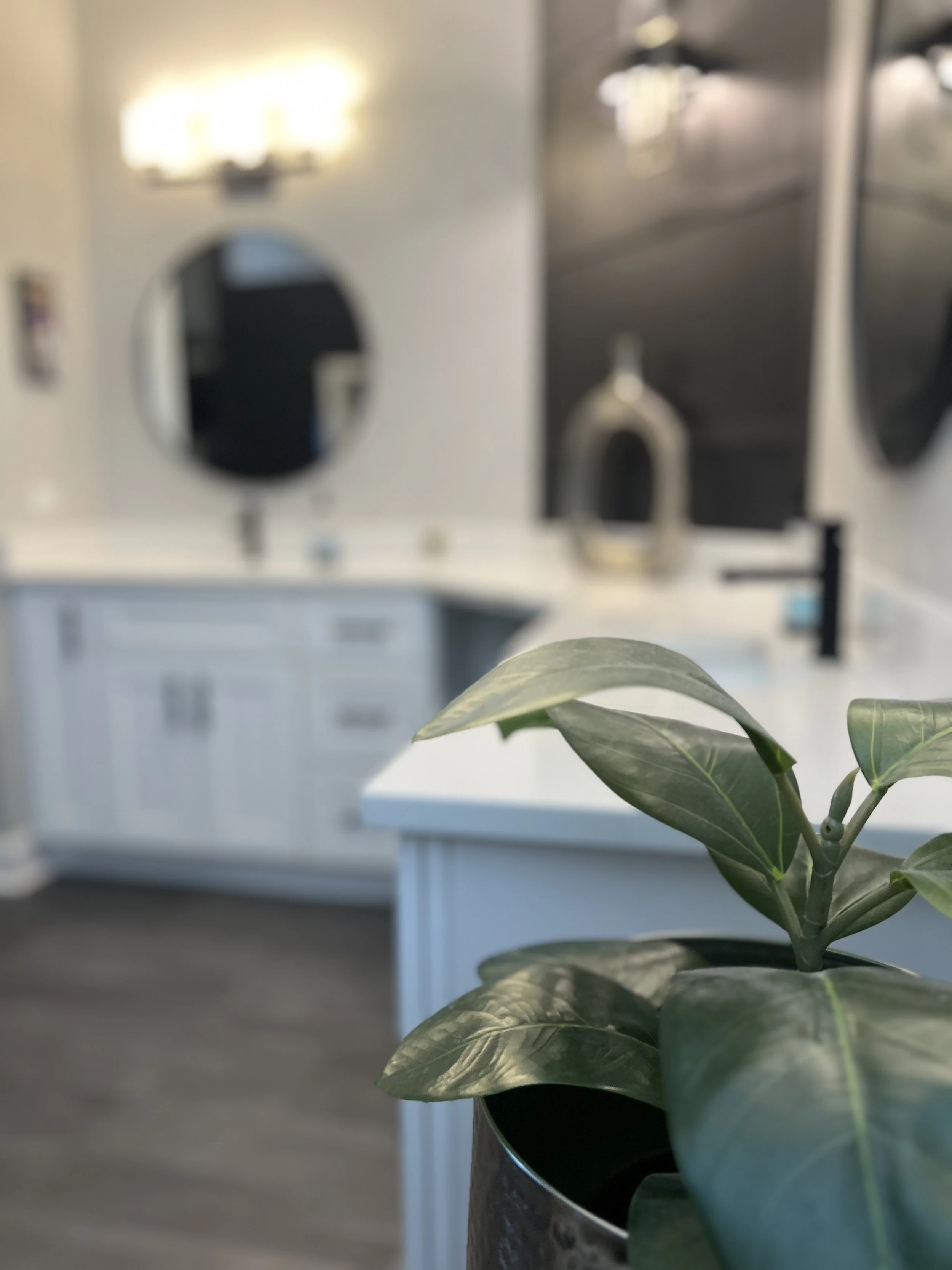 Double Vanity Remodel
