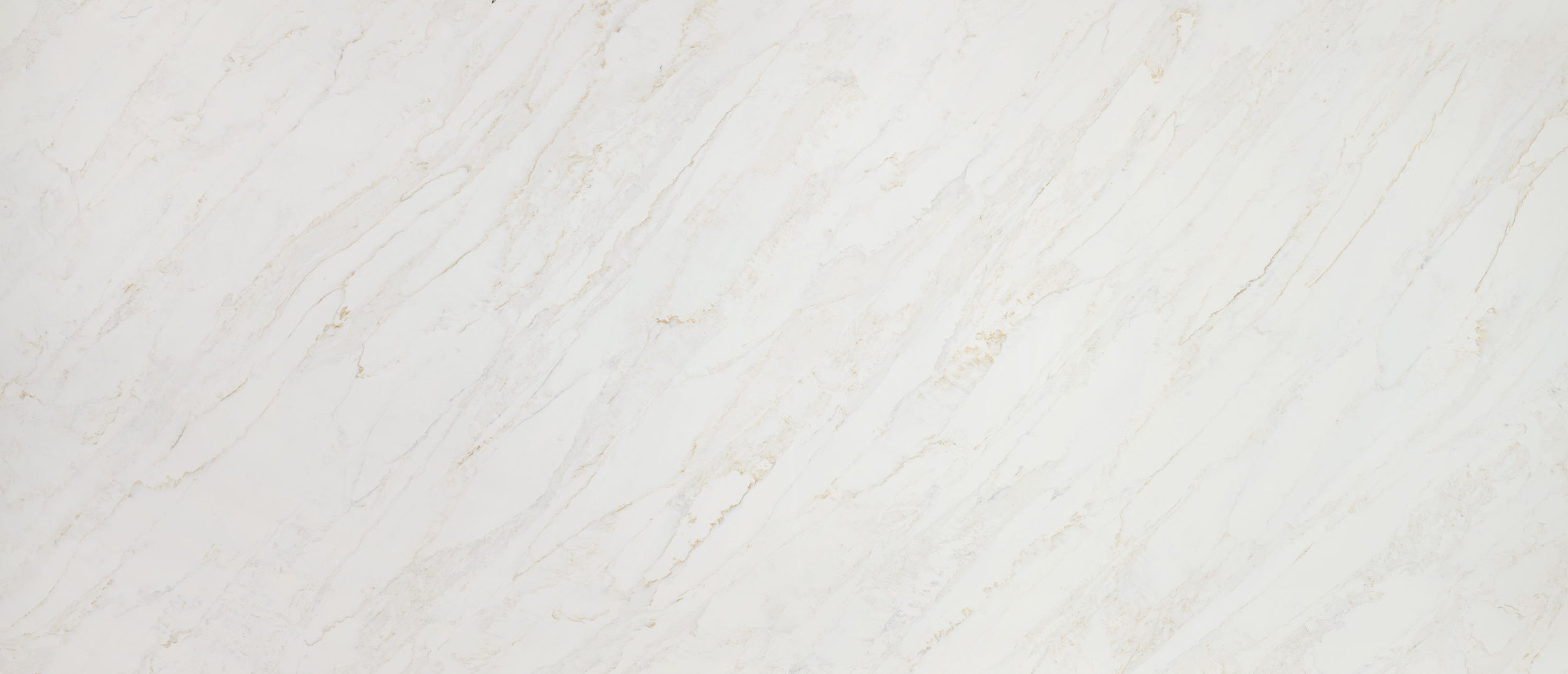 MSI Calacatta Premata quartz slab surface showcasing a warm off-white background with fine, dense diagonal veins in gold and soft gray.
