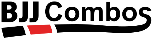 BJJ Combos
