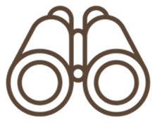 Outline of binoculars