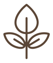 Simple line drawing of a plant with a central stem and three leaves