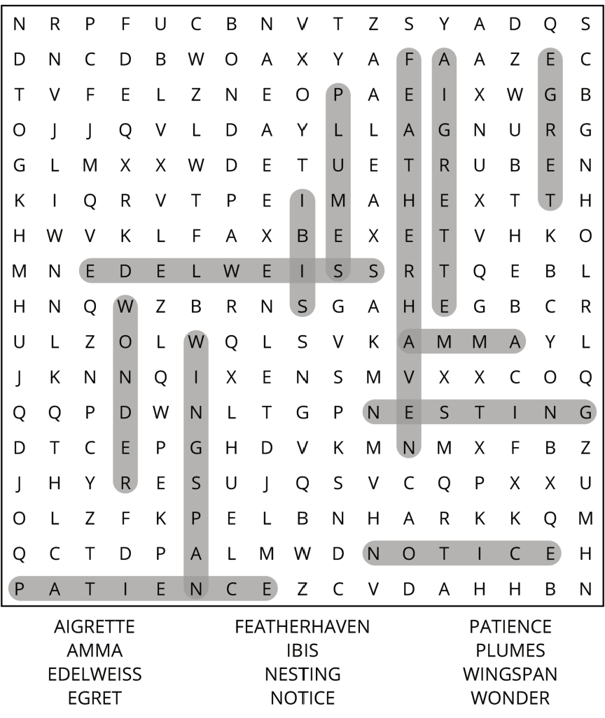 Issue 1: Egret Eyes Word Search
