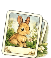 A set of polaroid-style photos featuring a cute brown bunny rabbit in a natural outdoor setting with trees and flowers.