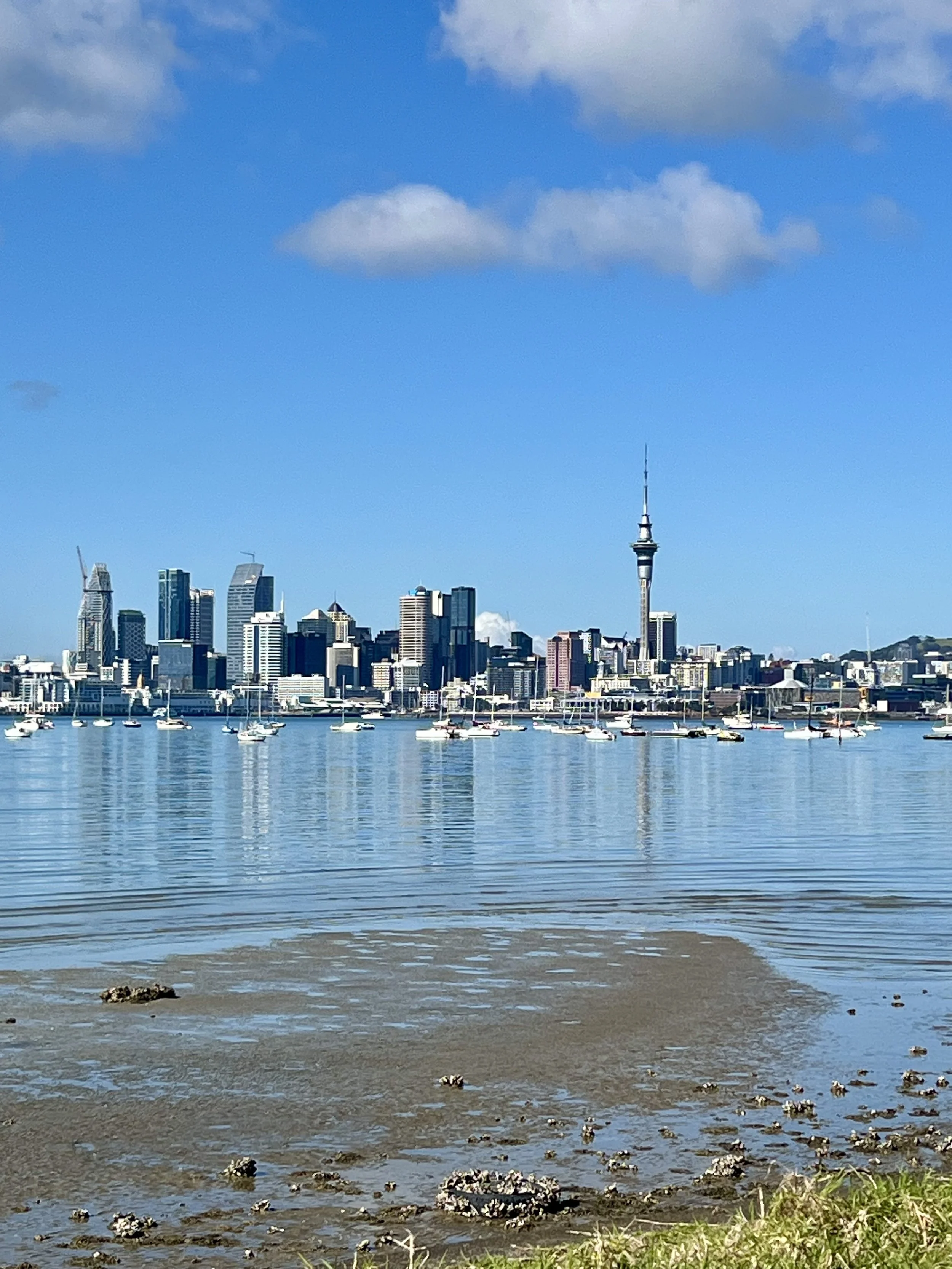 City skyline with tall buildings and a tower, boats in a harbor, water with ripples, on a sunny day with blue sky and some clouds.