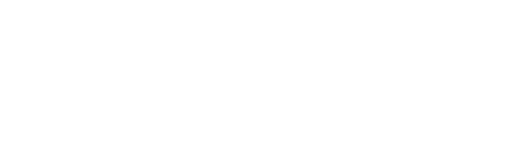 Logo for Donuts + Democracy