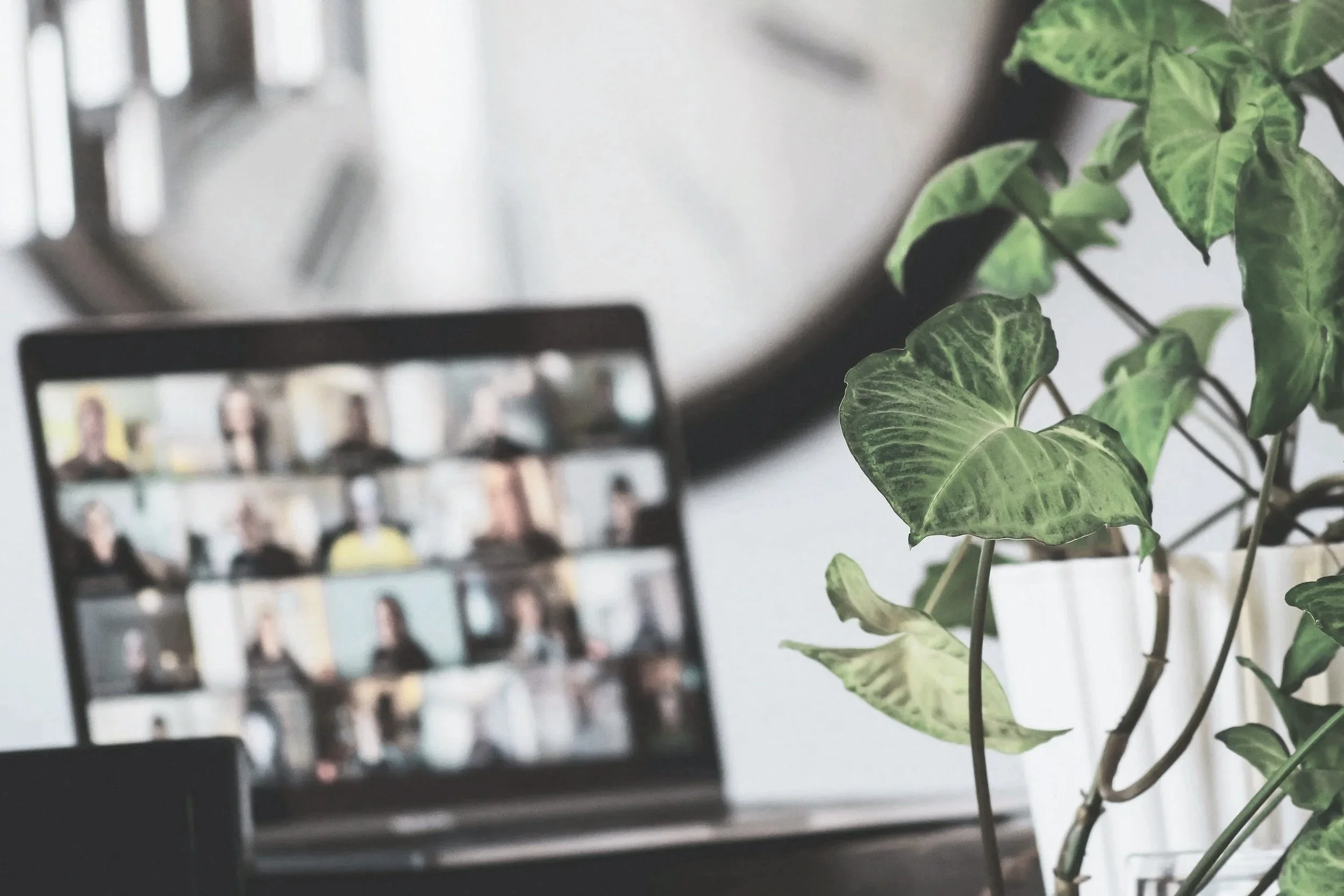 A blurred image of a phone screen showing a video call with several people, with a green leafy plant in the foreground.