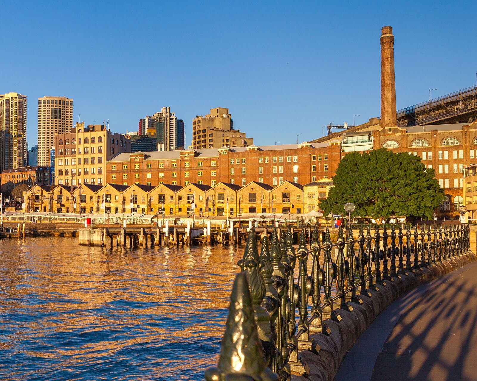 shutterstock_592308251_crop.jpg