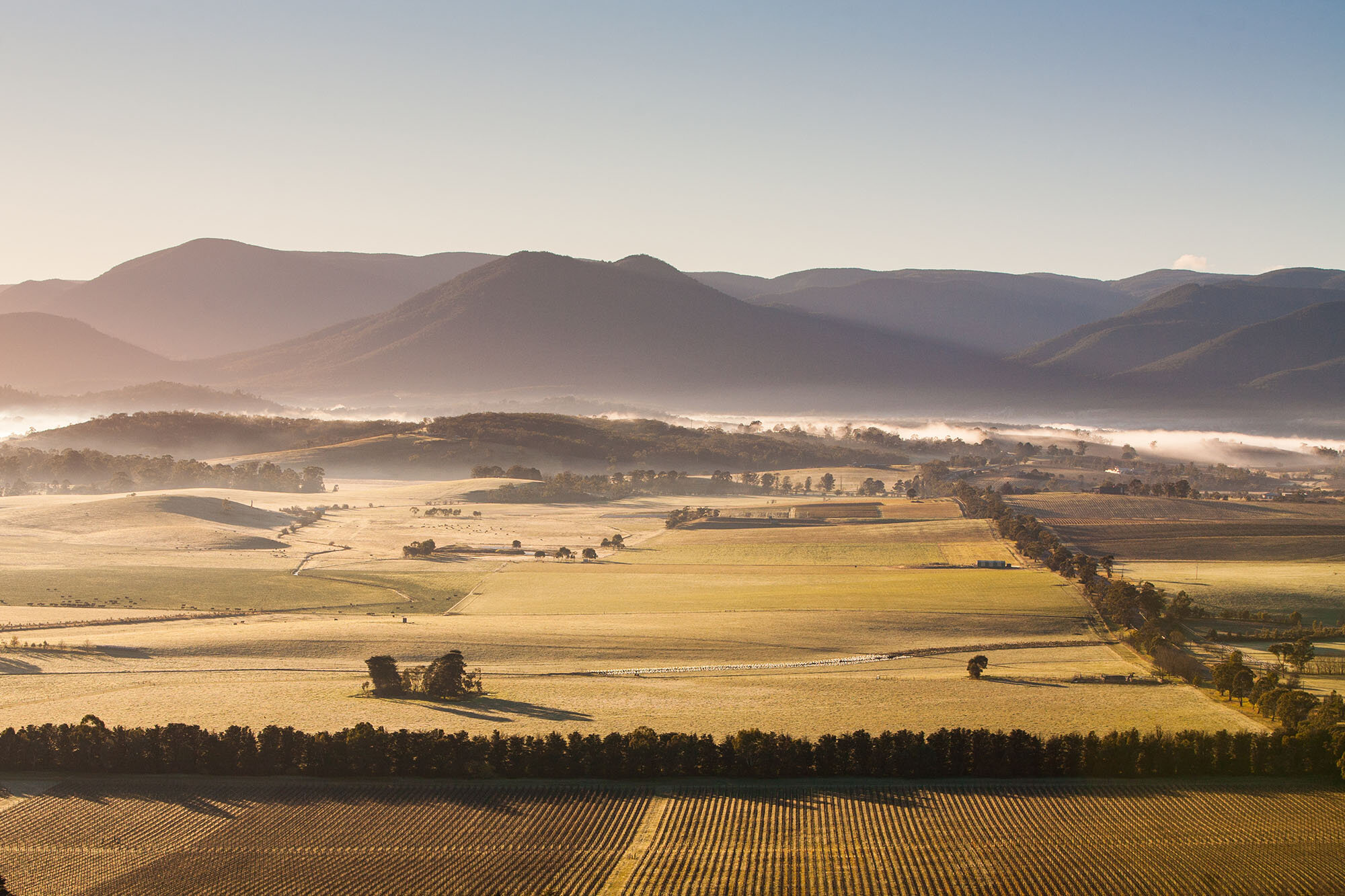 shutterstock_149062259.jpg
