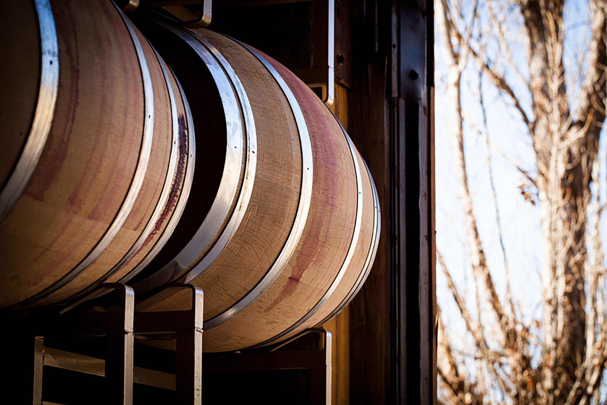 vineyard ss_96072773.jpg