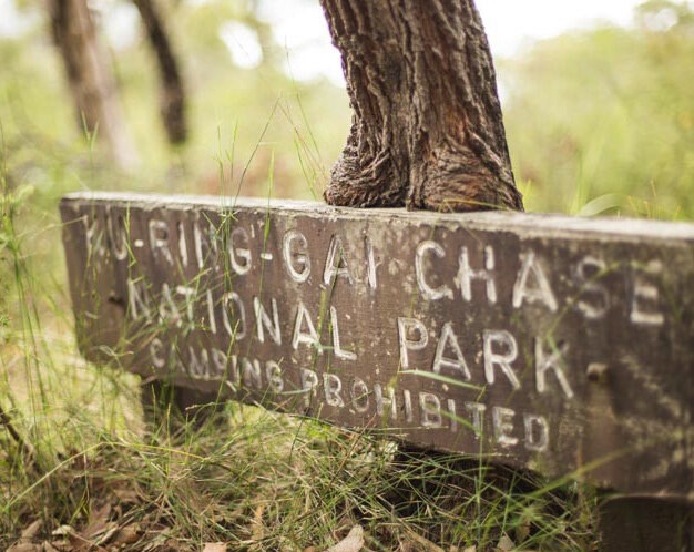 KuRingGai_Chase.jpg