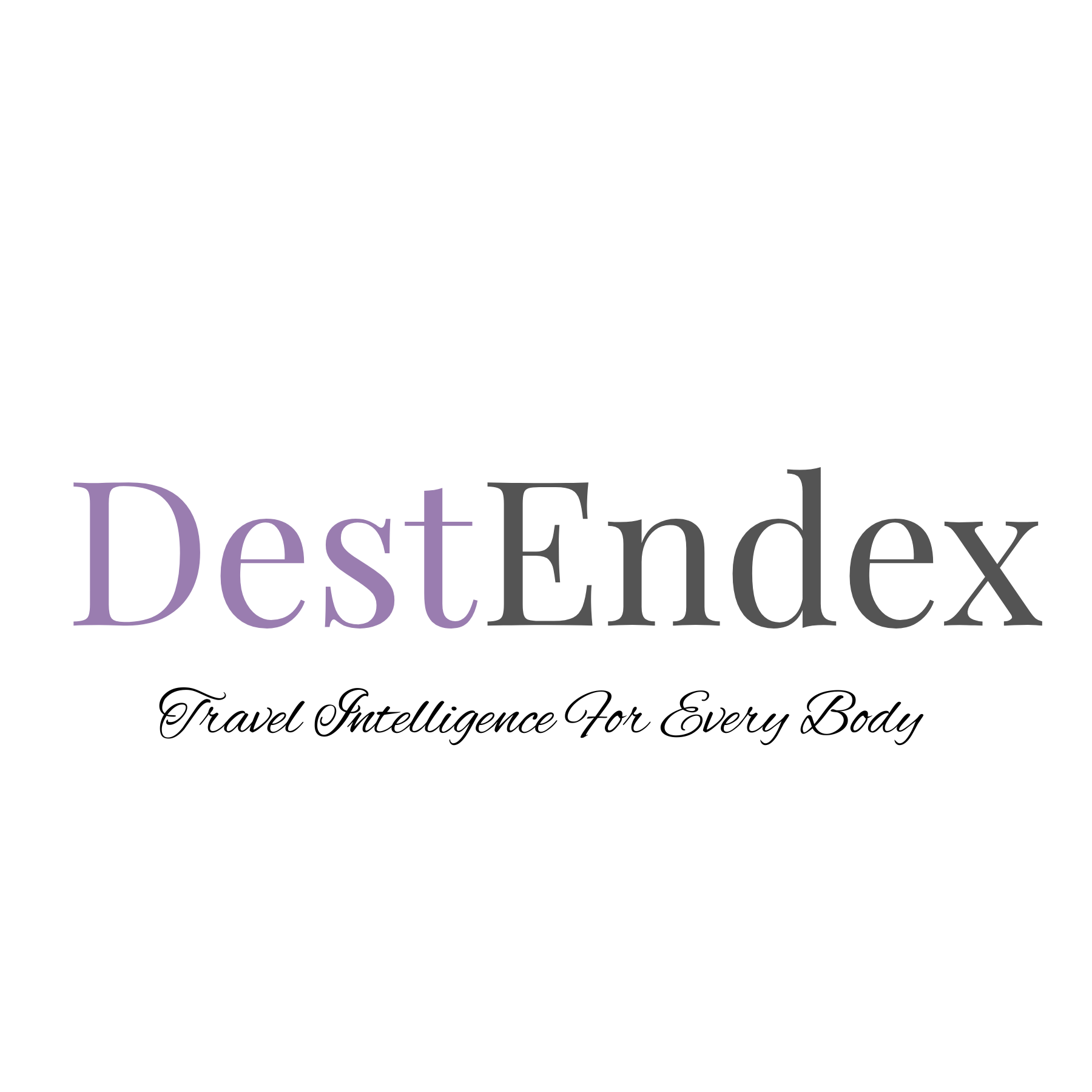 DestEndex Logo