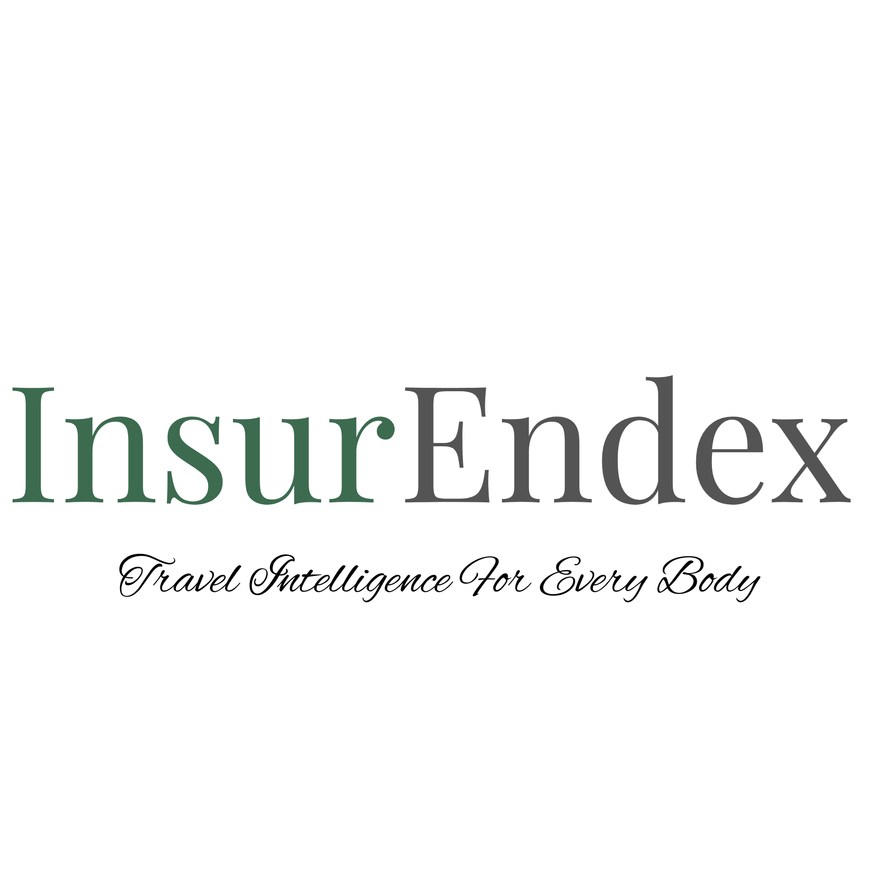 InsurEndex Logo