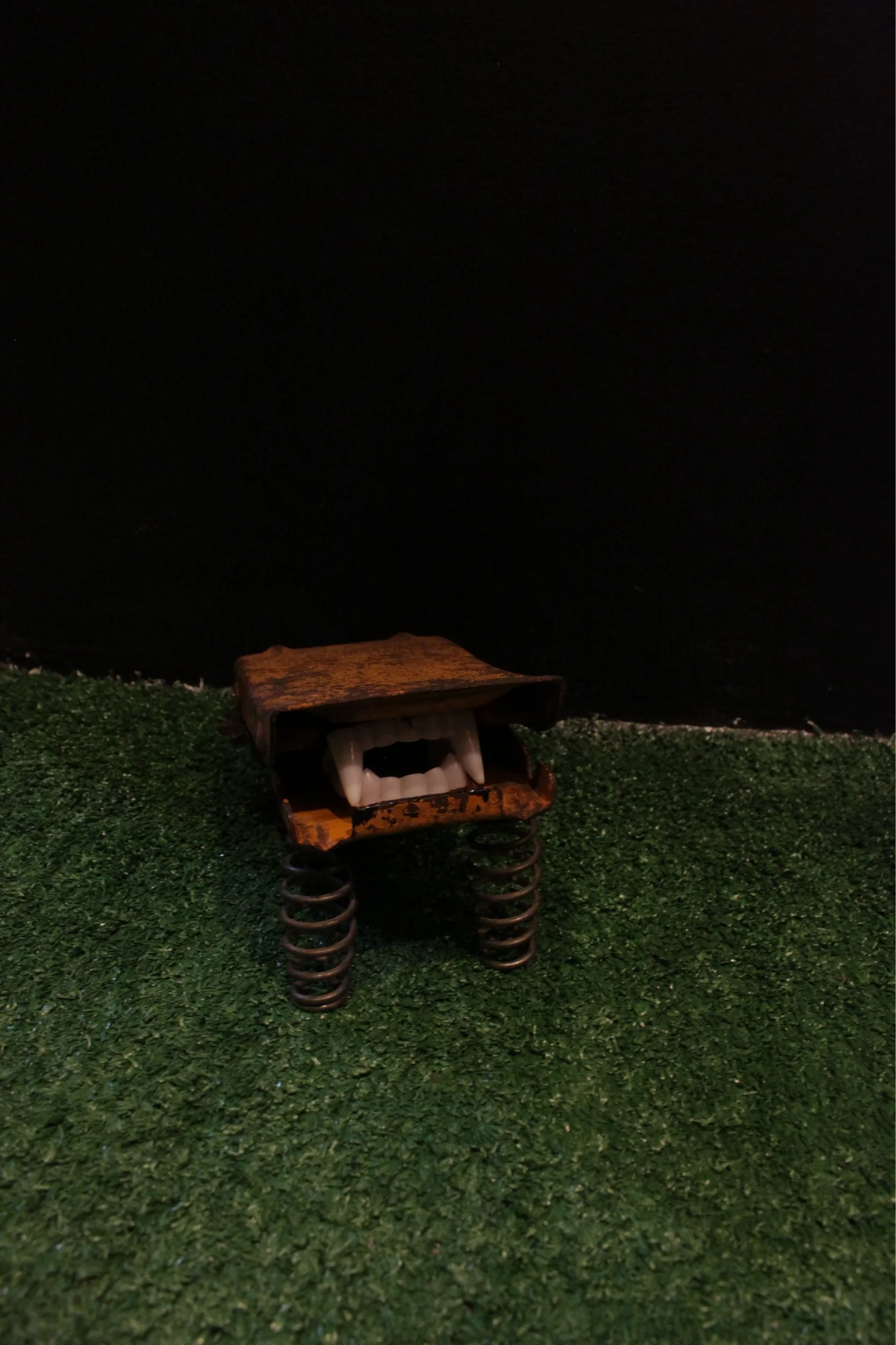 IMG_6774.png