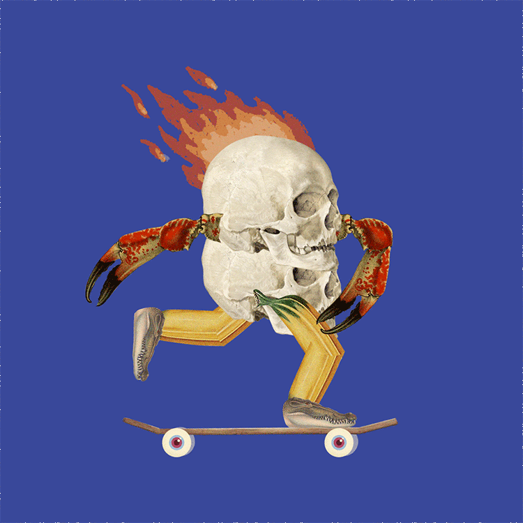 11.gif