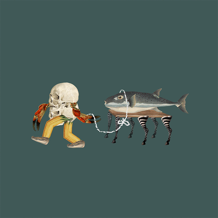 31.gif