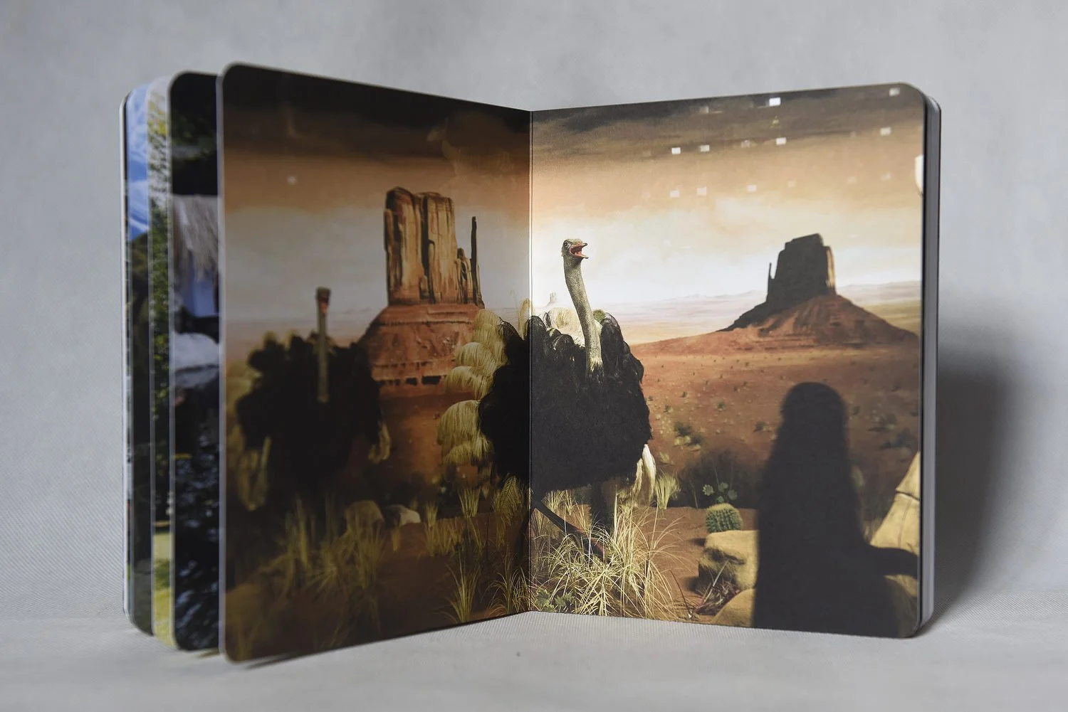wildtopiabook095.JPG