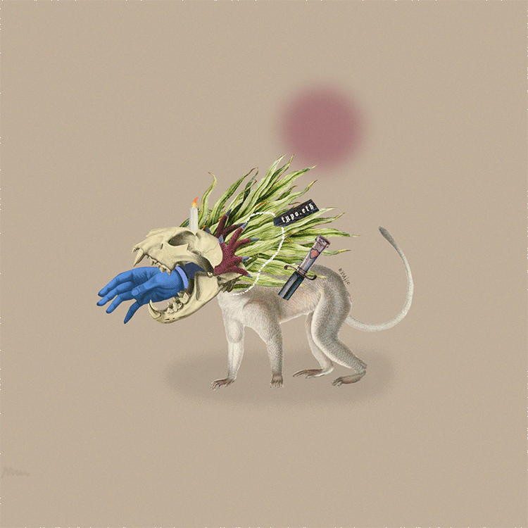 25.gif
