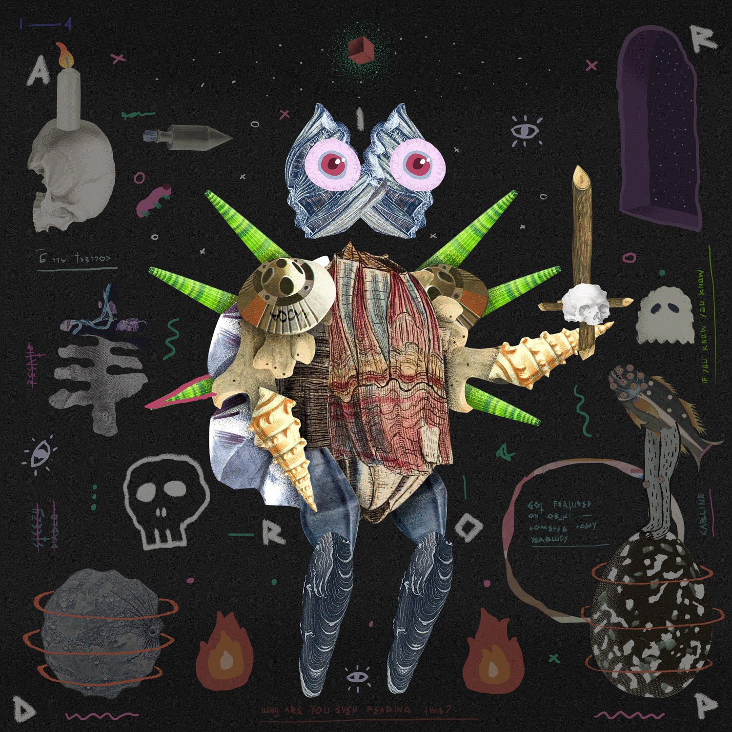 SD-05-lo-res.gif