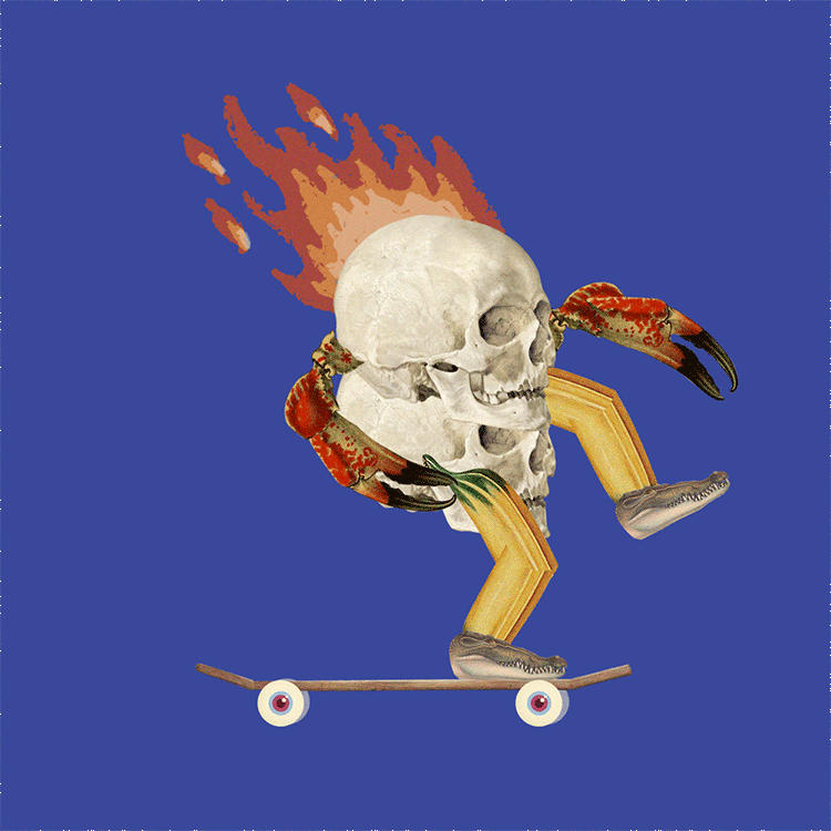 12.gif