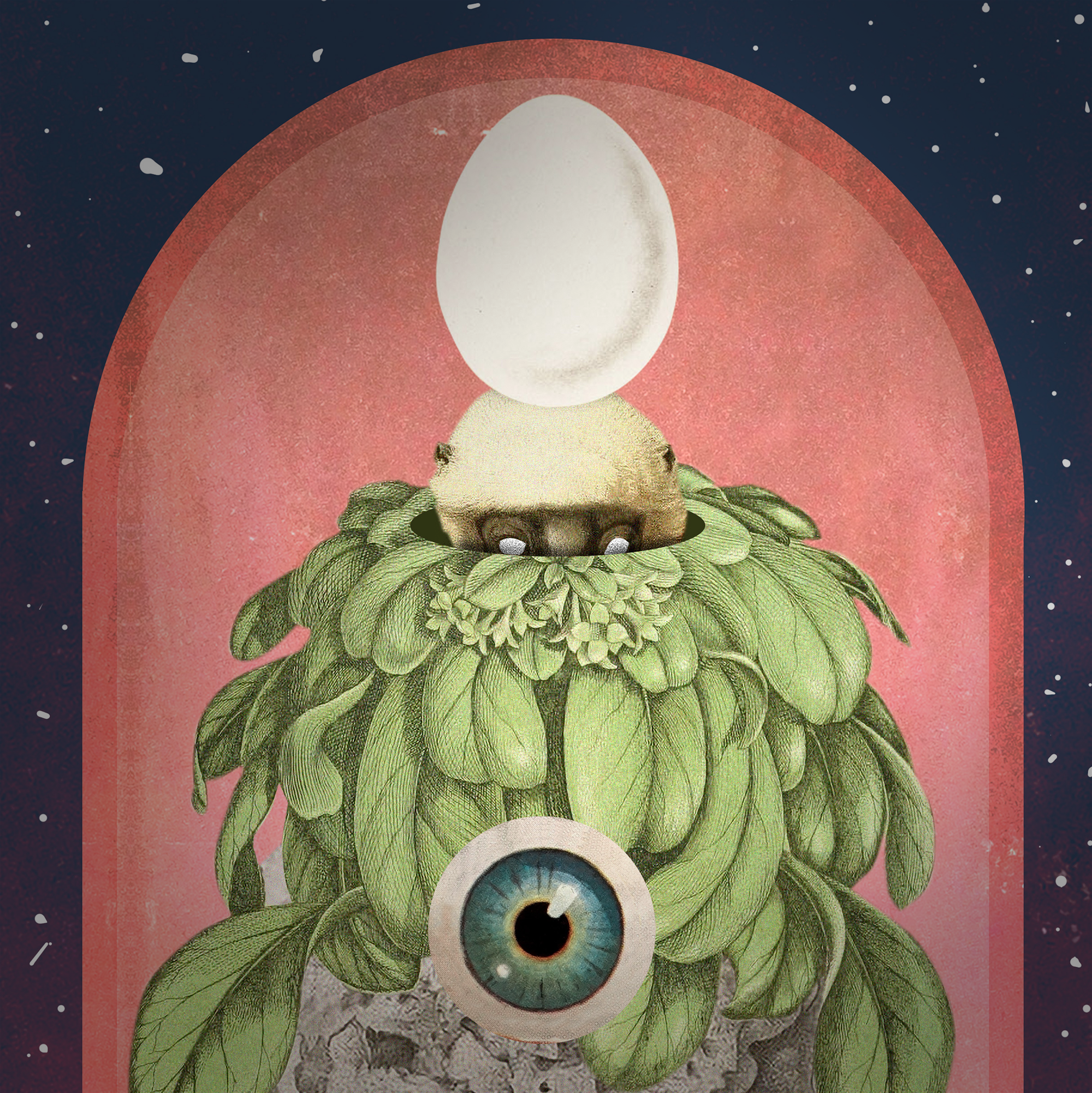 An artistic digital illustration featuring an eye within a series of concentric circles, set against a space background with stars. The illustration has textured and layered elements, including leaves or petals, creating a surreal, cosmic-eye motif.