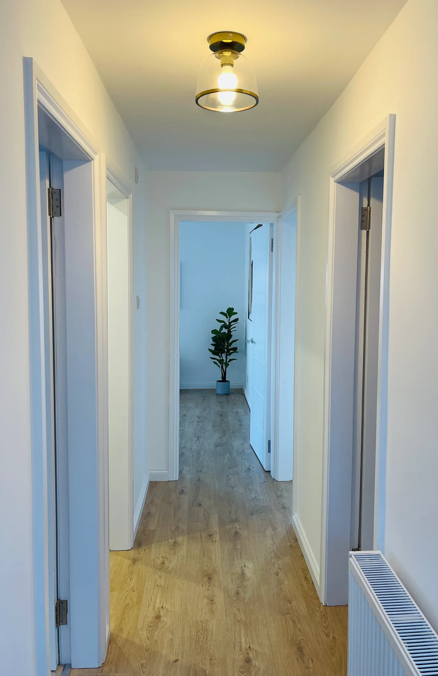 A hallway with white walls and wooden flooring, leading to a door at the end with a potted plant nearby. There is a ceiling light fixture with a glass cover and brass accents.