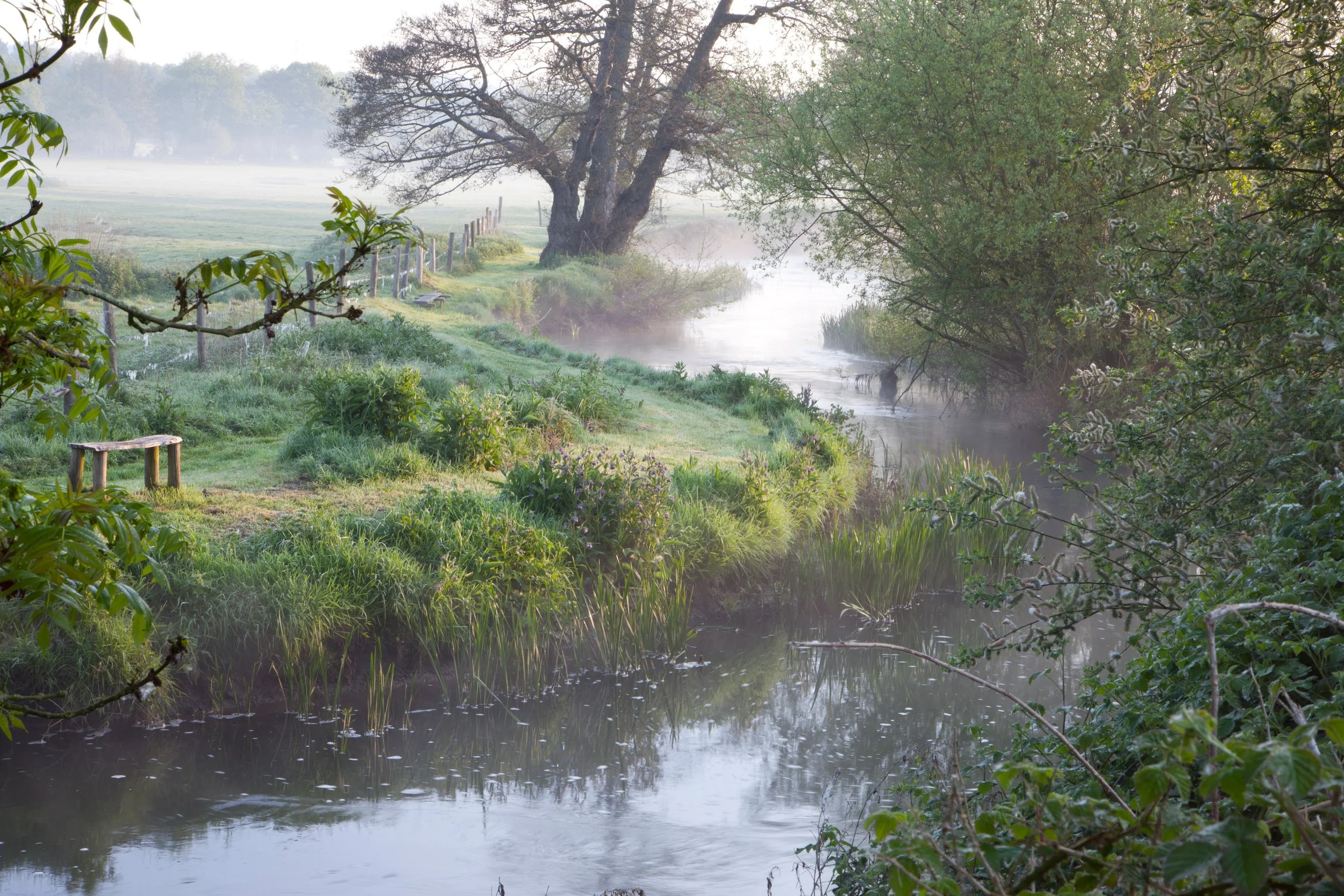 The River Nadder flowing through Sutton Mead in the Nadder Valley.
