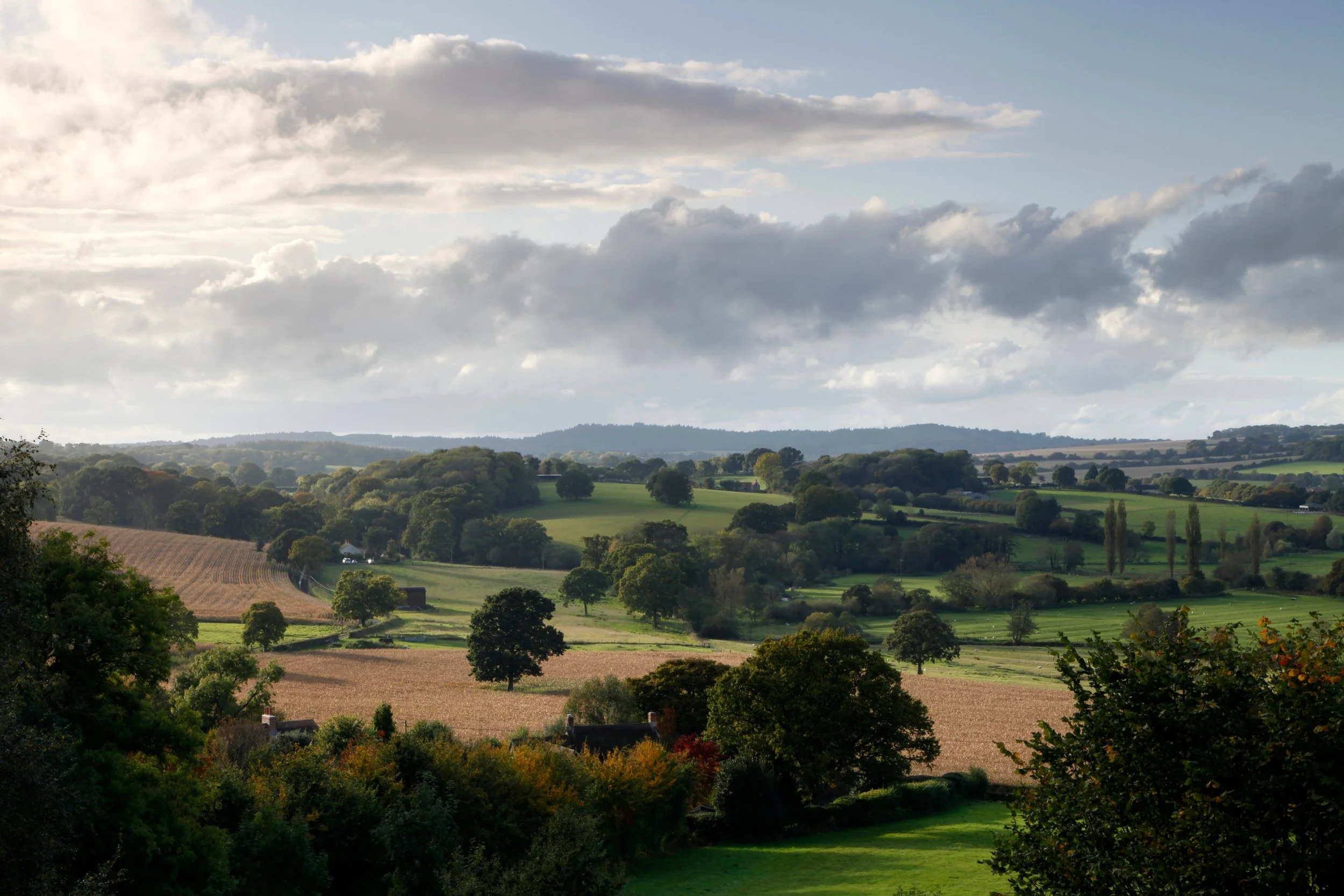 Chalk valley landscape at Sutton Mead in the Nadder Valley, Wiltshire.