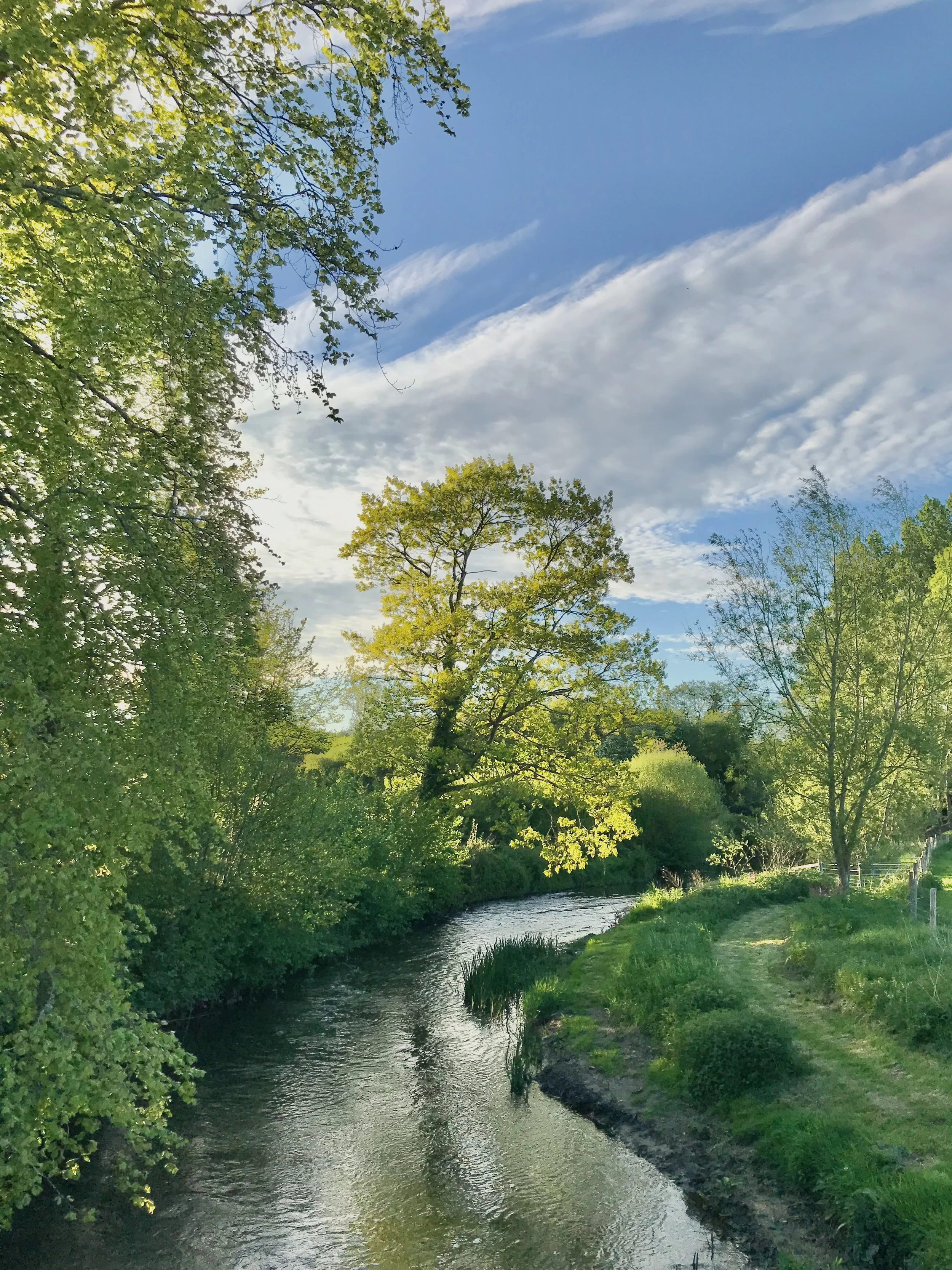 The River Nadder flowing through Sutton Mead in the Nadder Valley.
