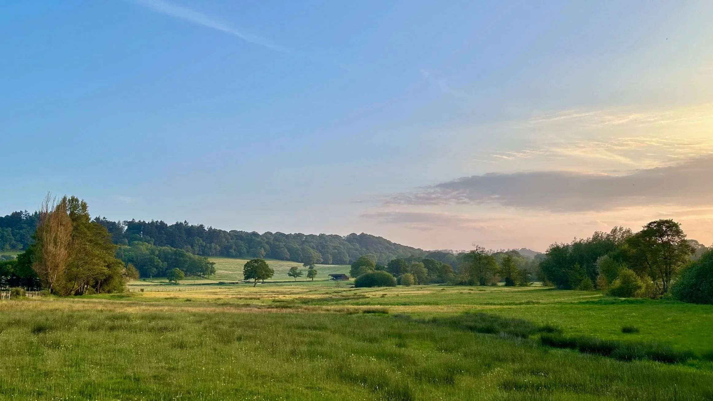 Species-rich grassland and wood pasture in the Nadder Valley.