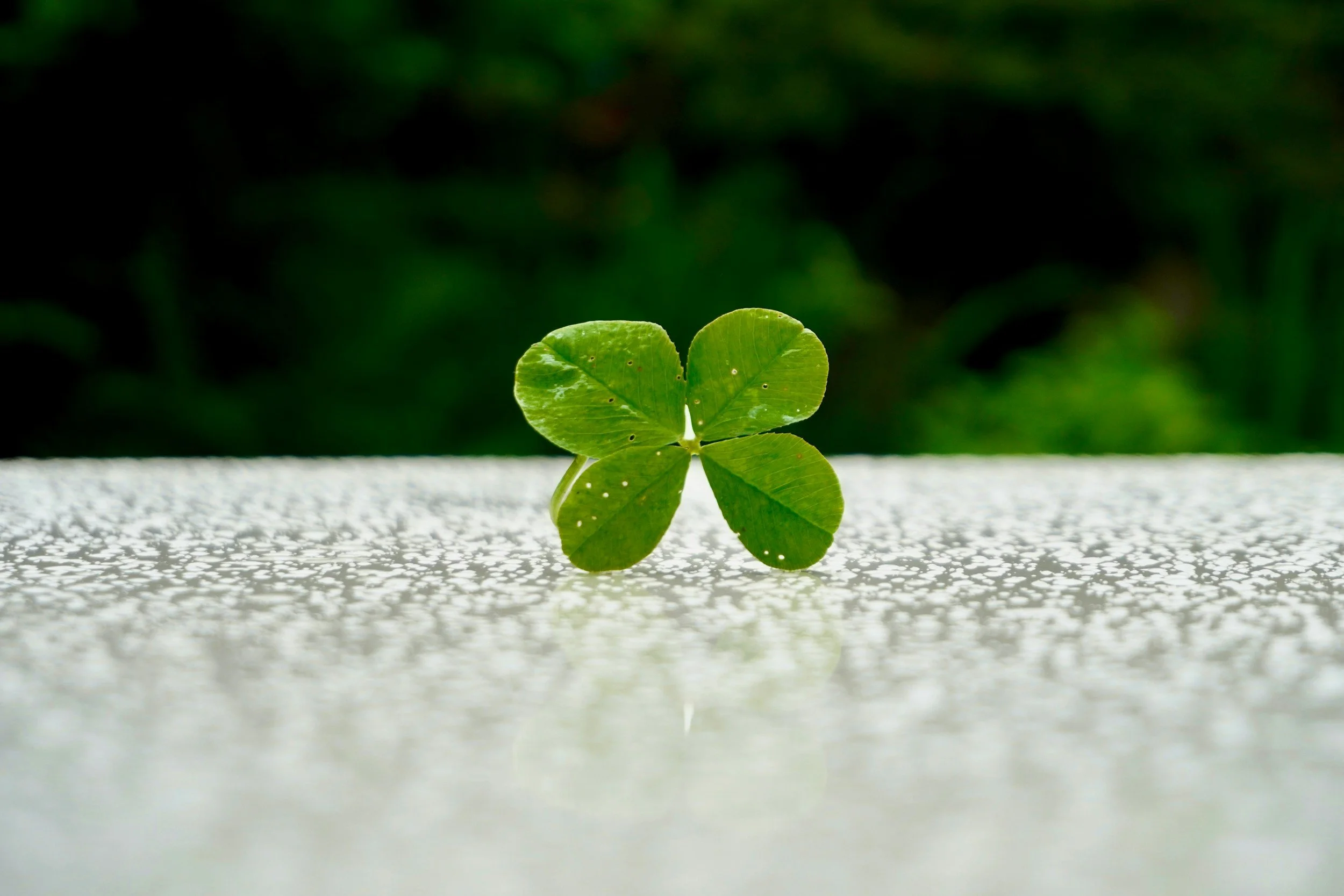The Two Types of Change (And Why We Only Recognise One of Them)