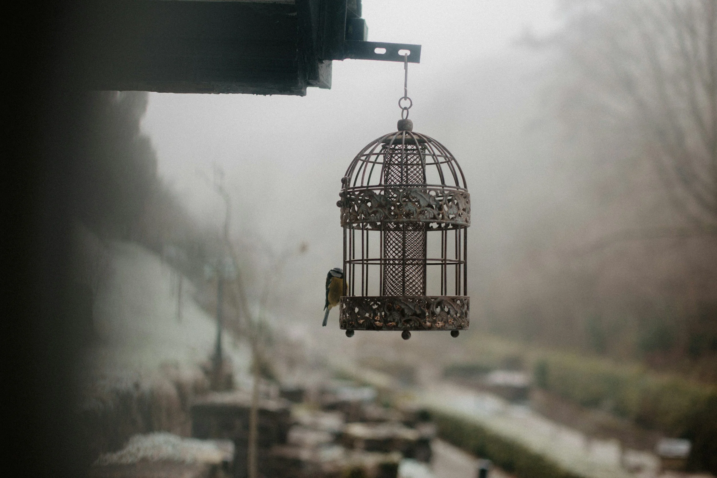 Chasing Certainty, Wasting Time