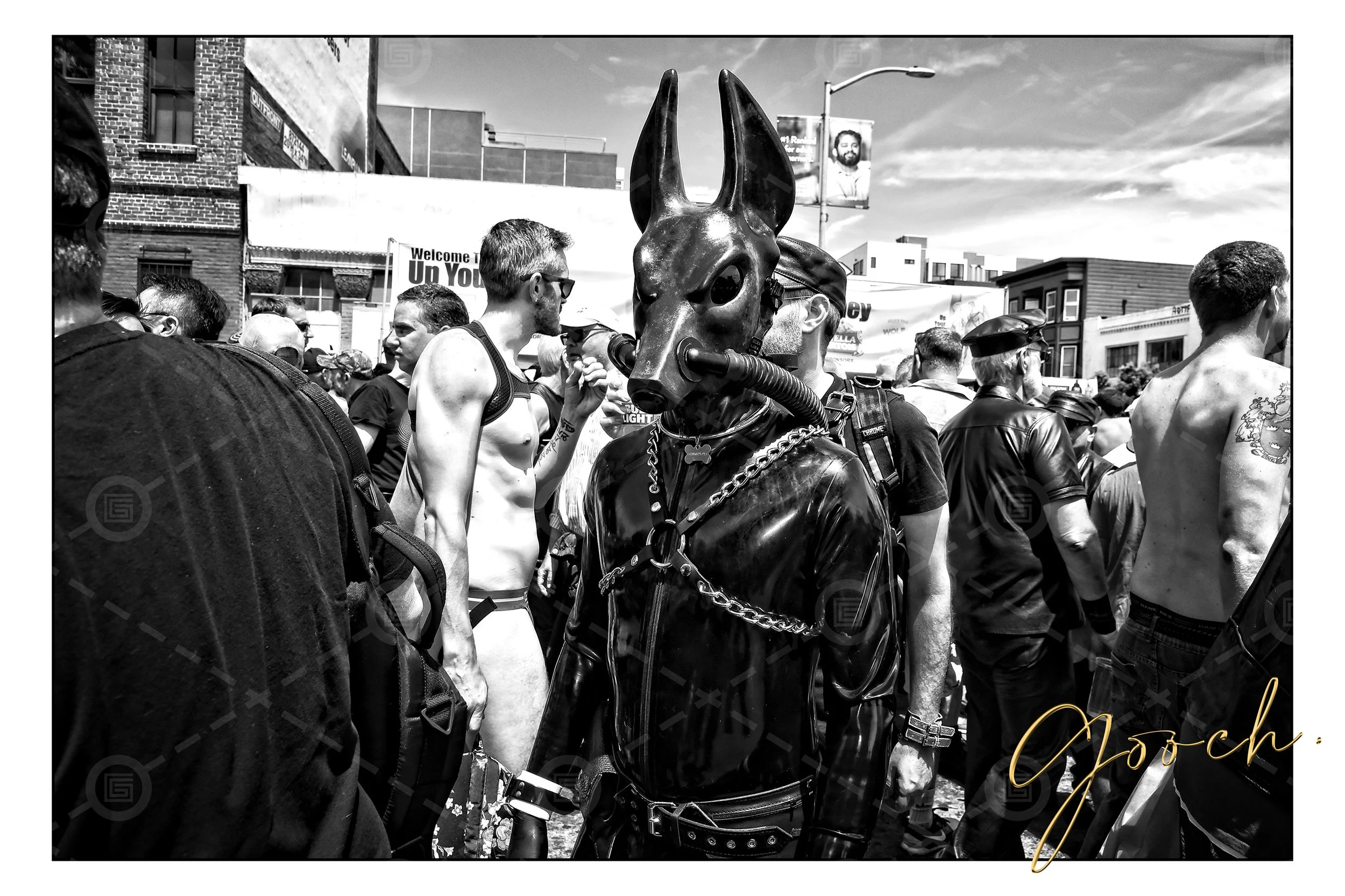 Folsom Jackal 2017