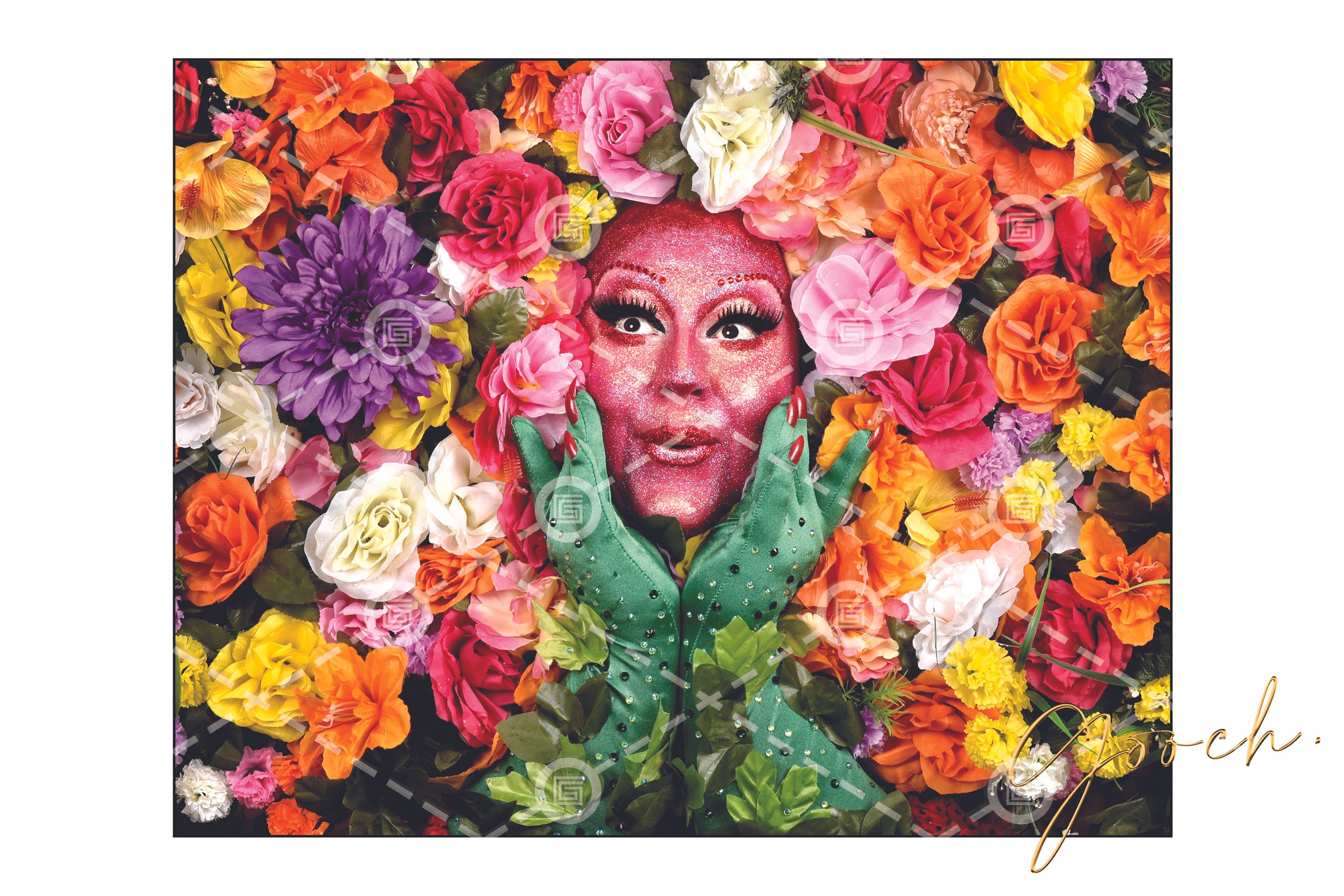 Kylie Minono Flowers 2019