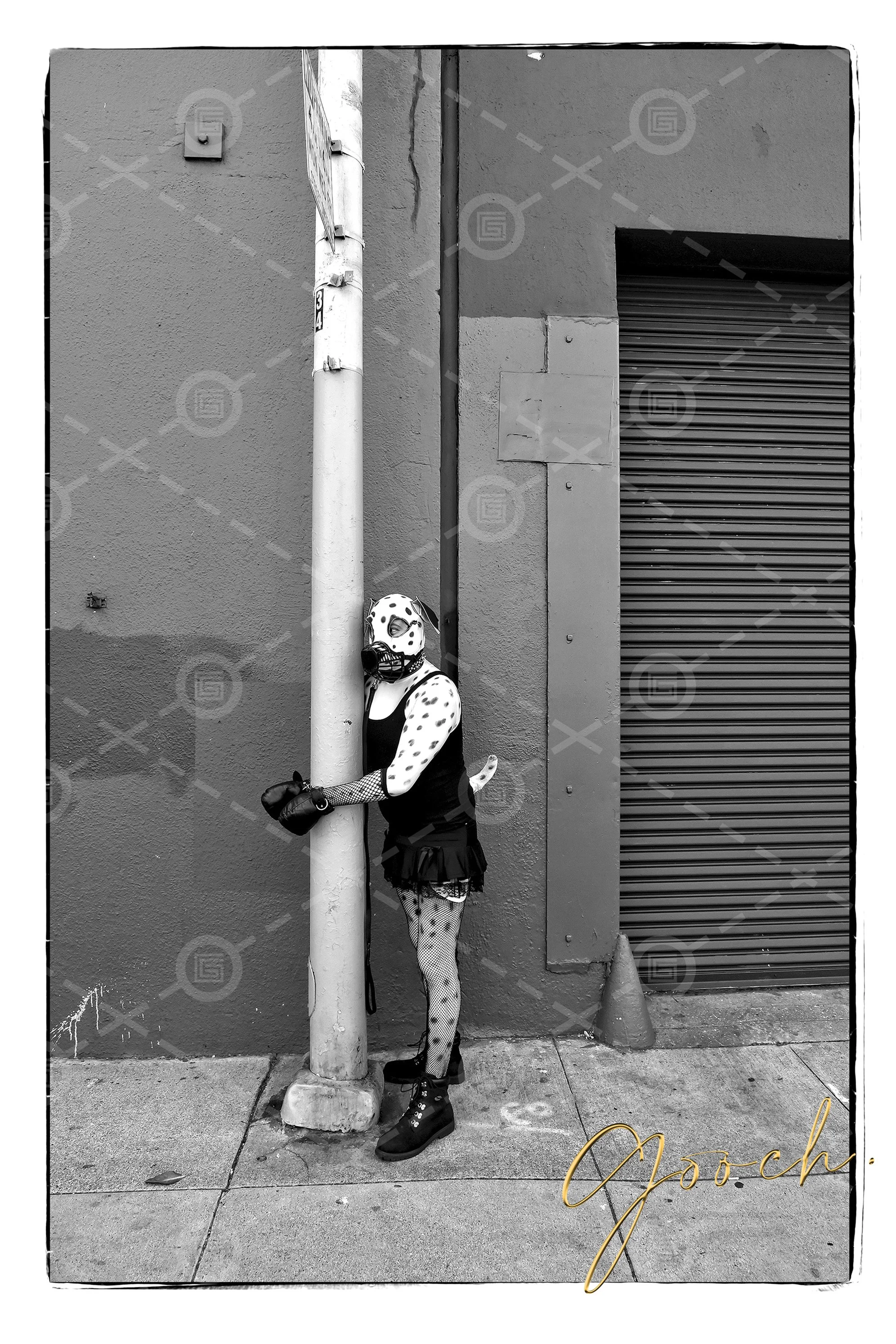 Folsom Street Pup Chained to post. 2020