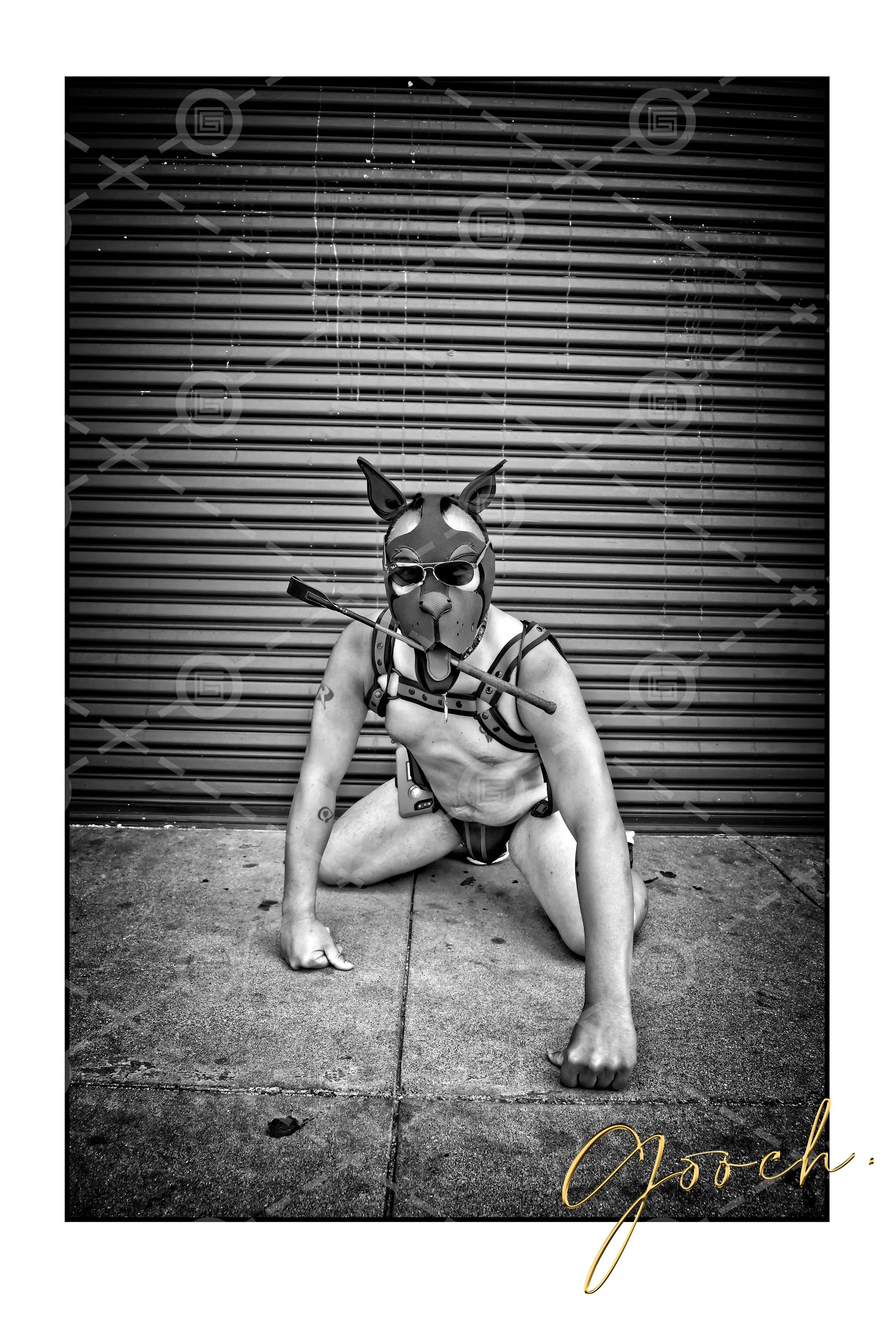 Folsom Street Pup. 2017