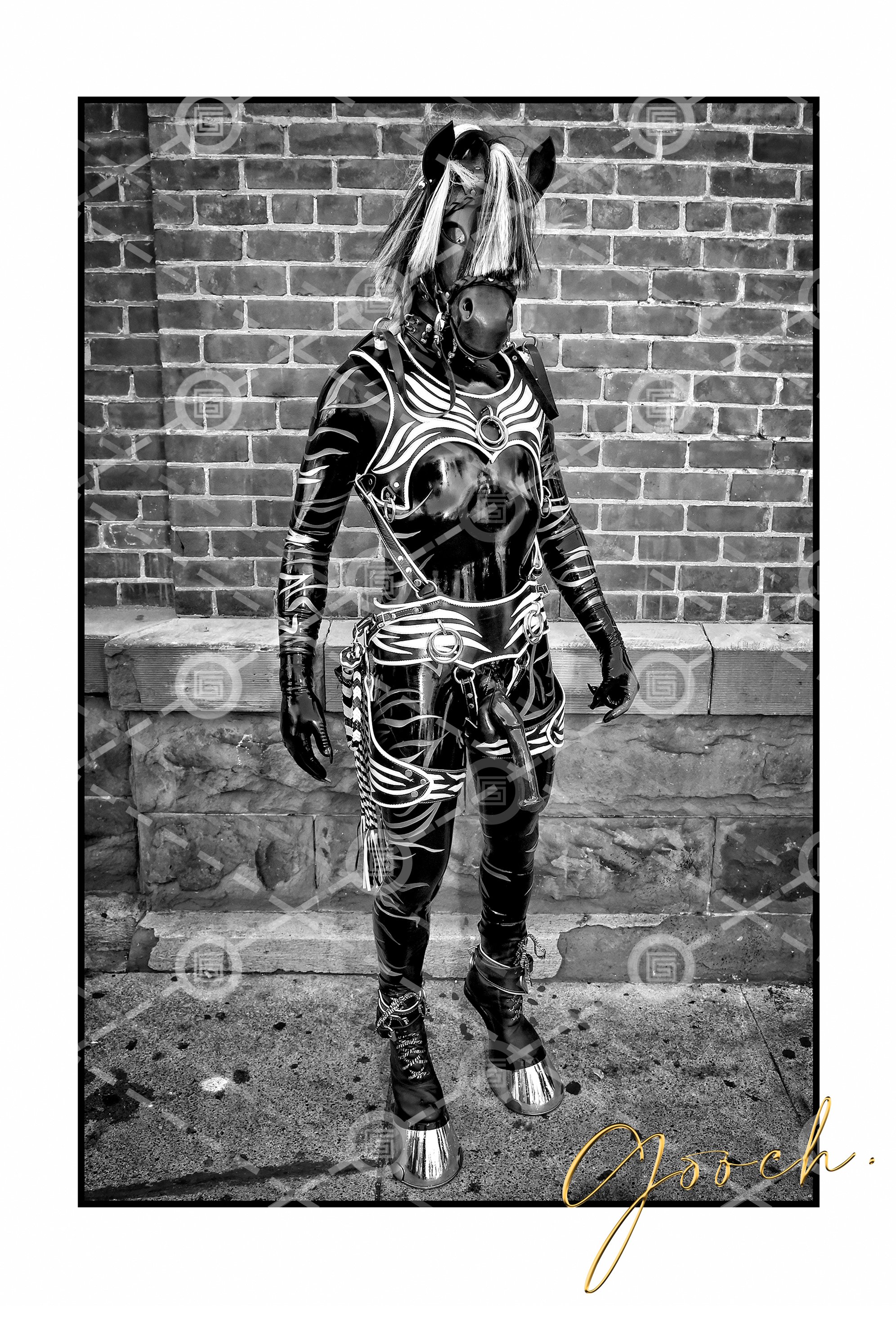 Folsom Street Rubber Horse. 2018