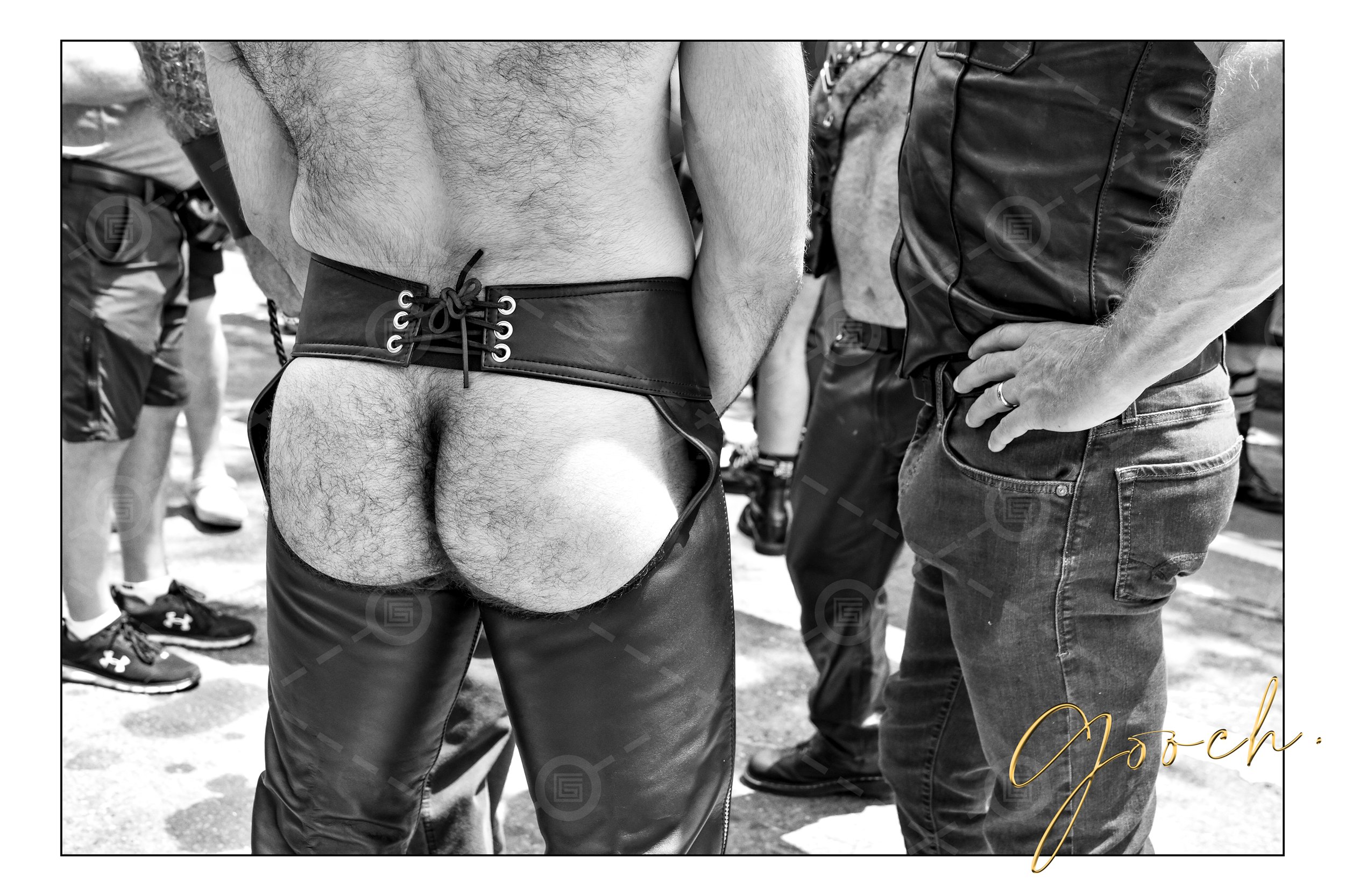 Folsom Street Arse chaps 2021