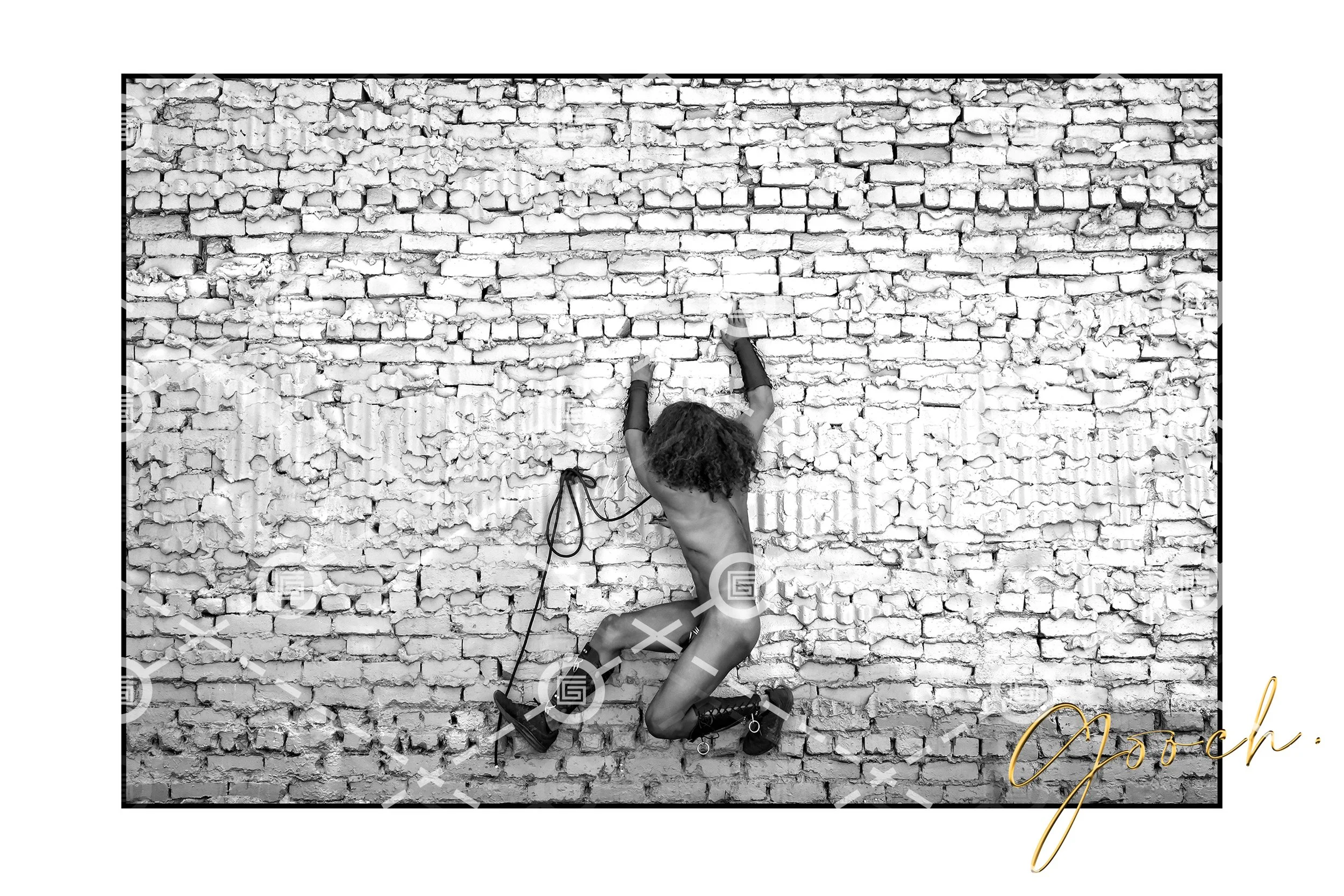Wall Climber B&W, SF, 2017