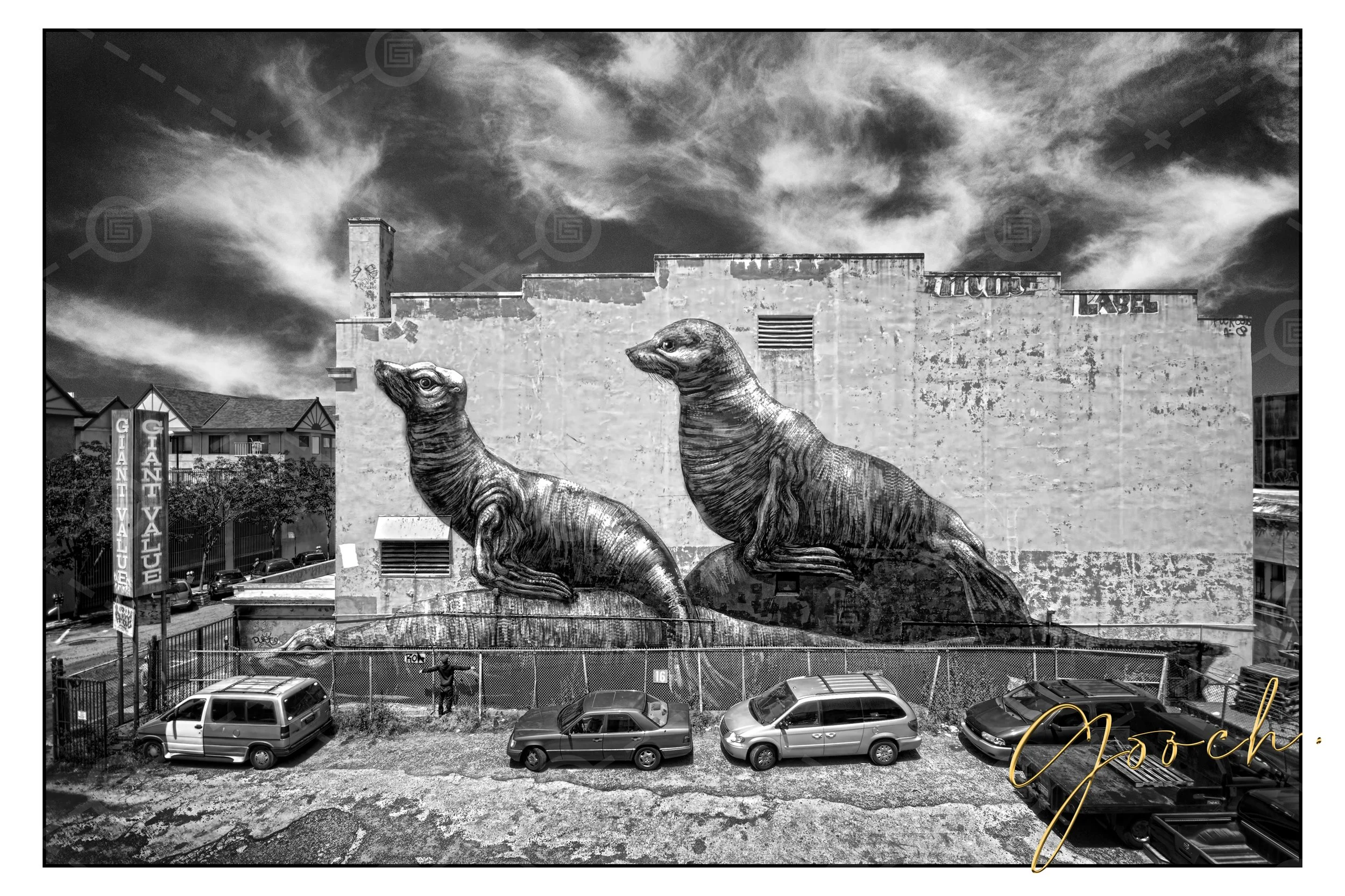 Roa Seals - SF 2011