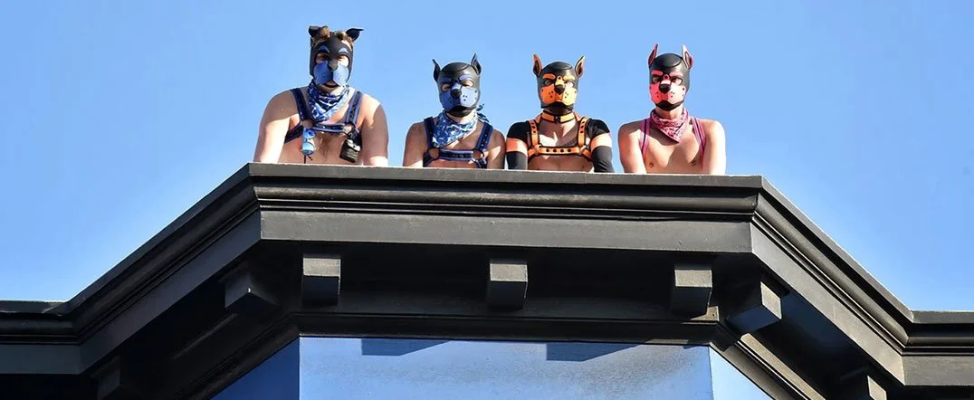 Folsom Megahood 2021