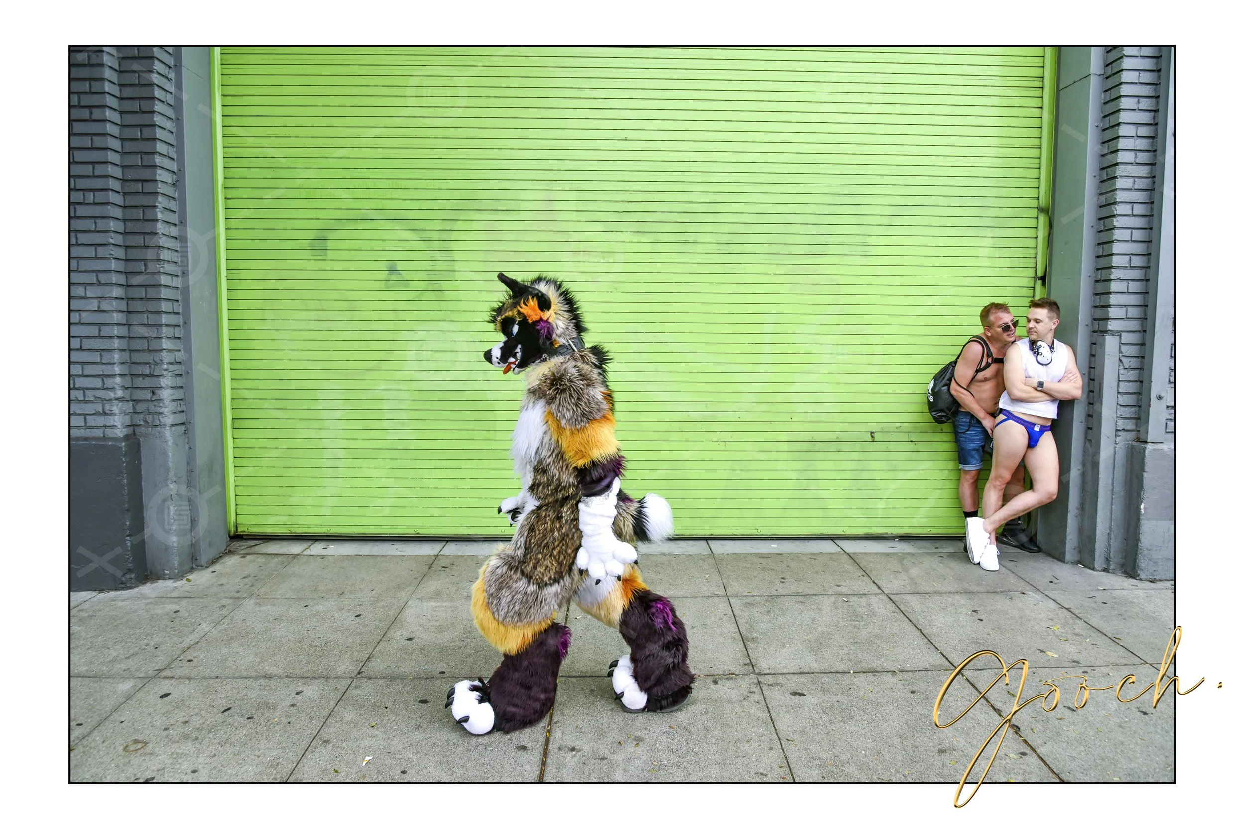 Folsom Furry Walking 2022