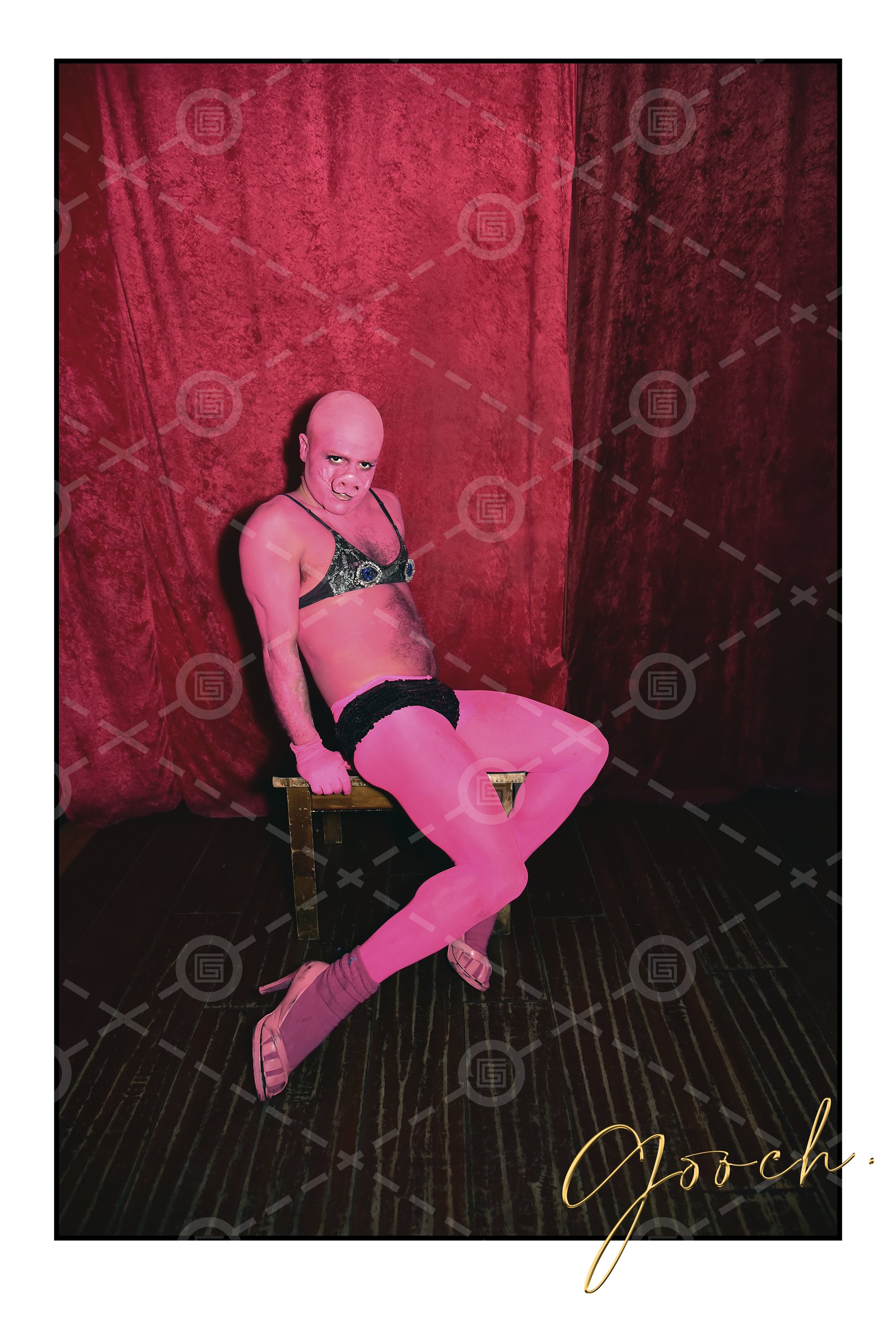 Stanley Bikini Pig