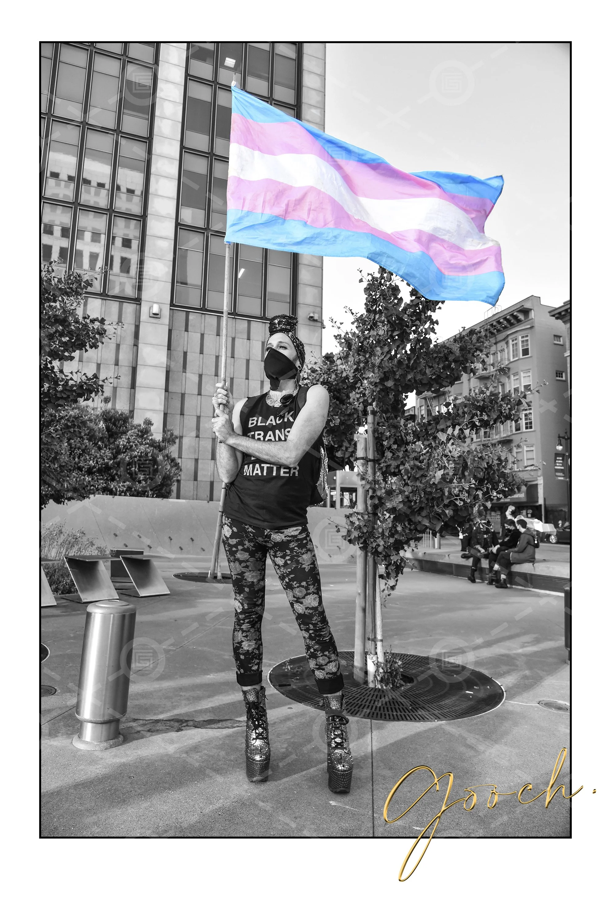 Transgender Flag - Spring Collins. 2020