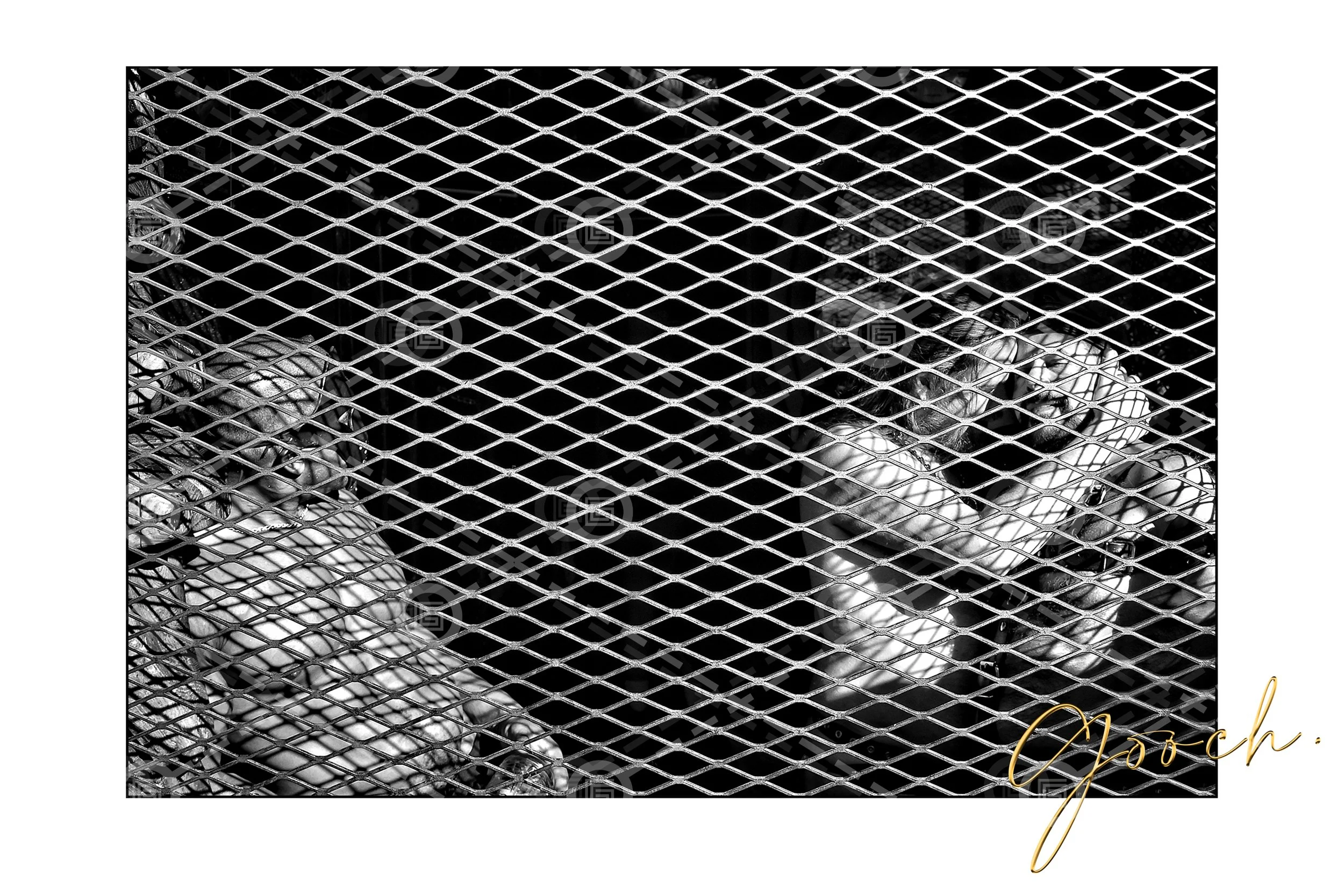 Folsom Street Caged Men Three 2017