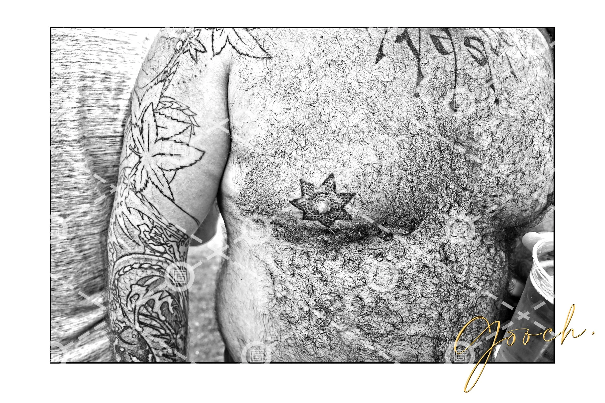 Folsom Nipple Star 2017