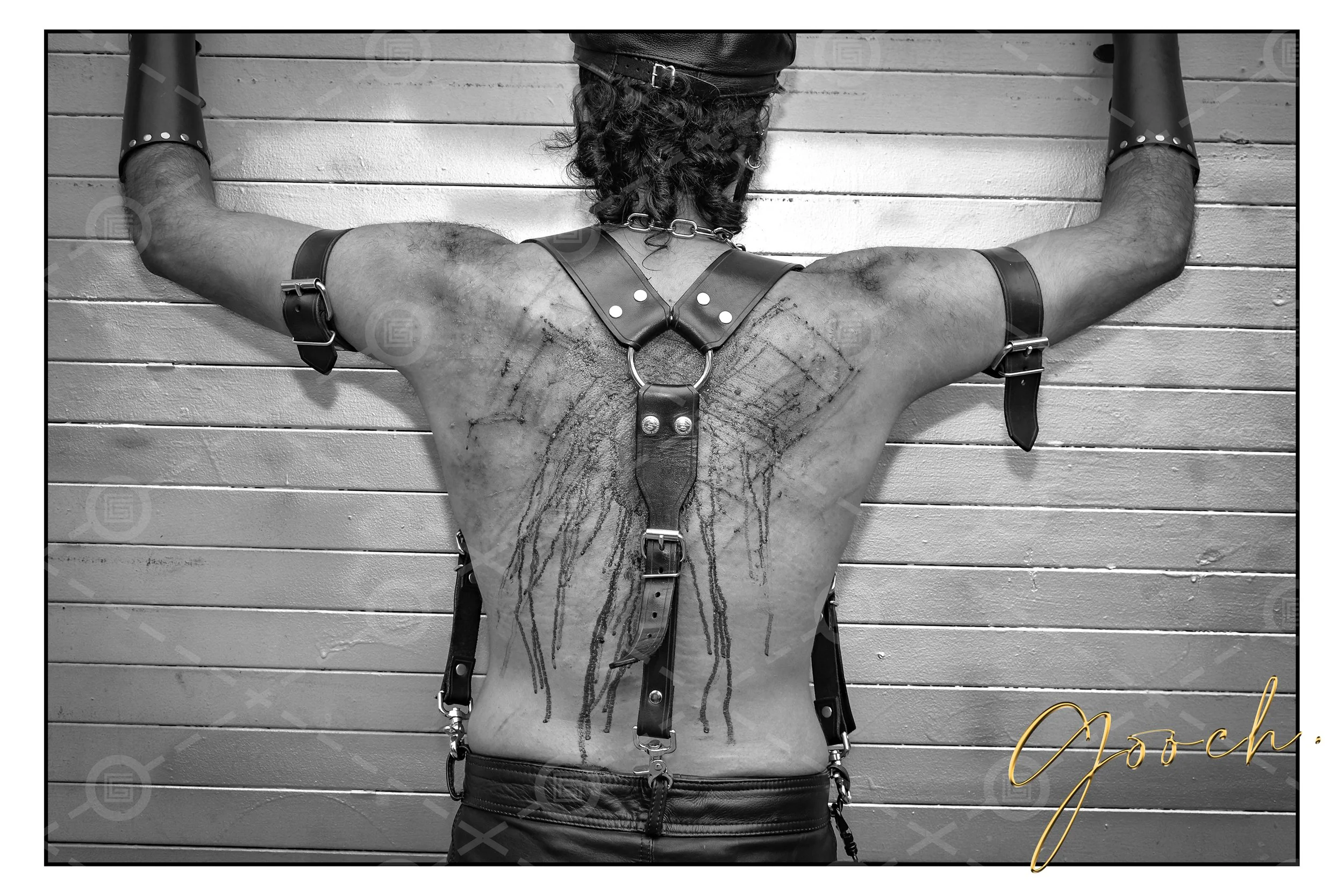 Folsom Cat o' Nine Tails B&W 2025