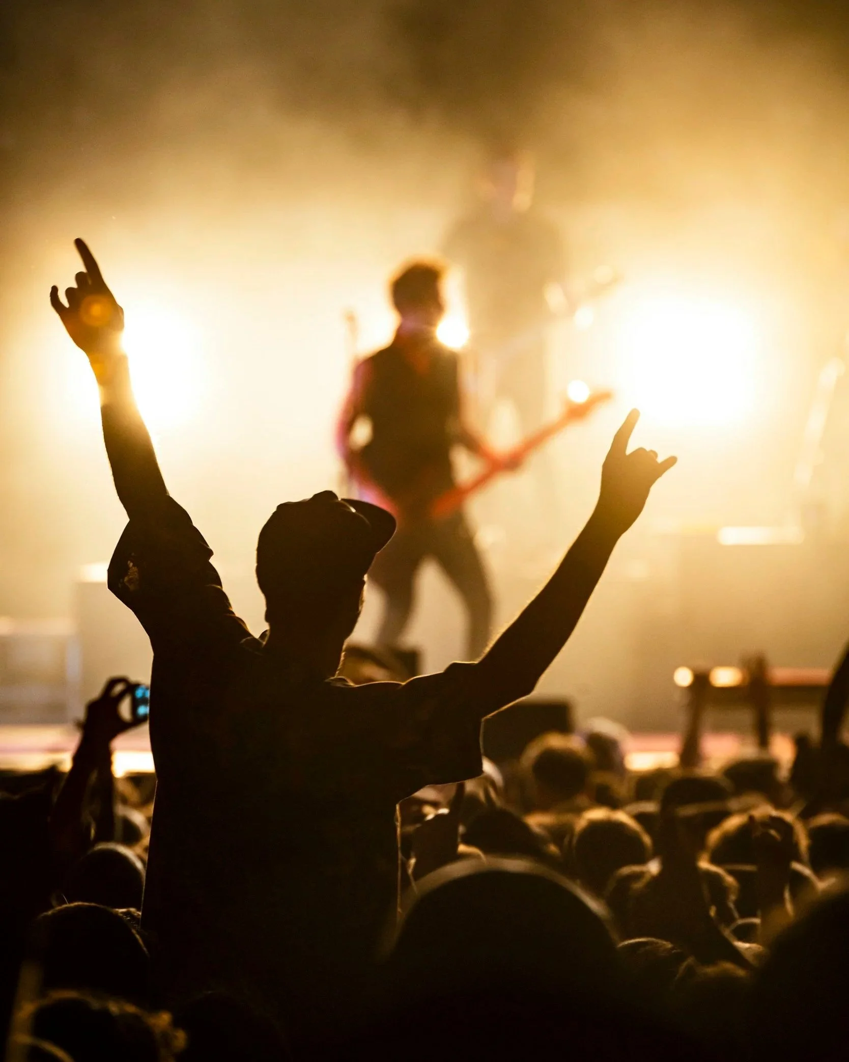 Crowd at a live concert with hands raised in front of the stage, capturing the energy Late Set Studio brings to artist campaigns
