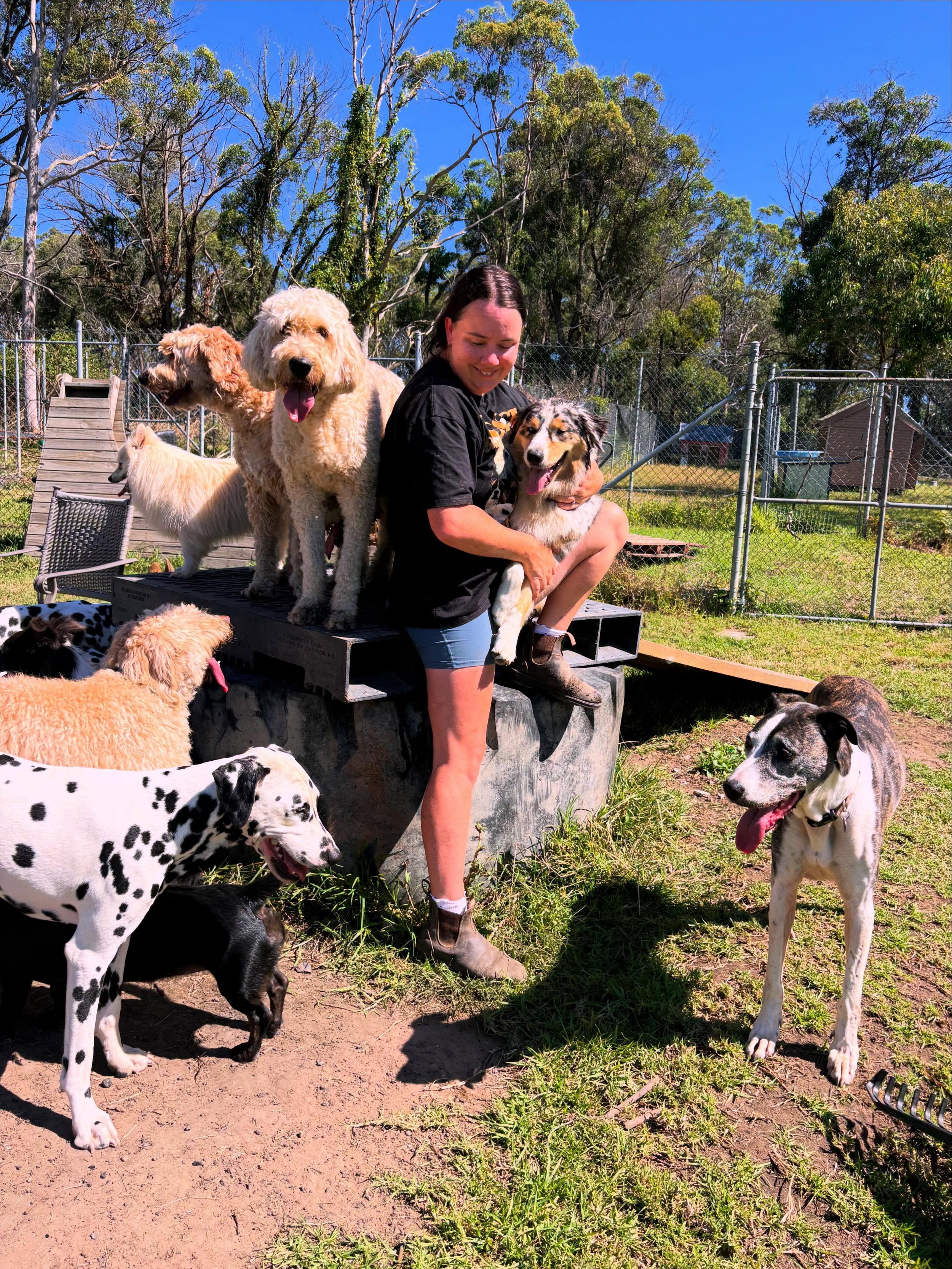 THANK YOU TO EVERYONE WHO APPLIED FOR OUR POSITION OF DAYCARE STAFF MEMBER 🐕🌳 We are excited to announce we have now found someone to join our team🐶