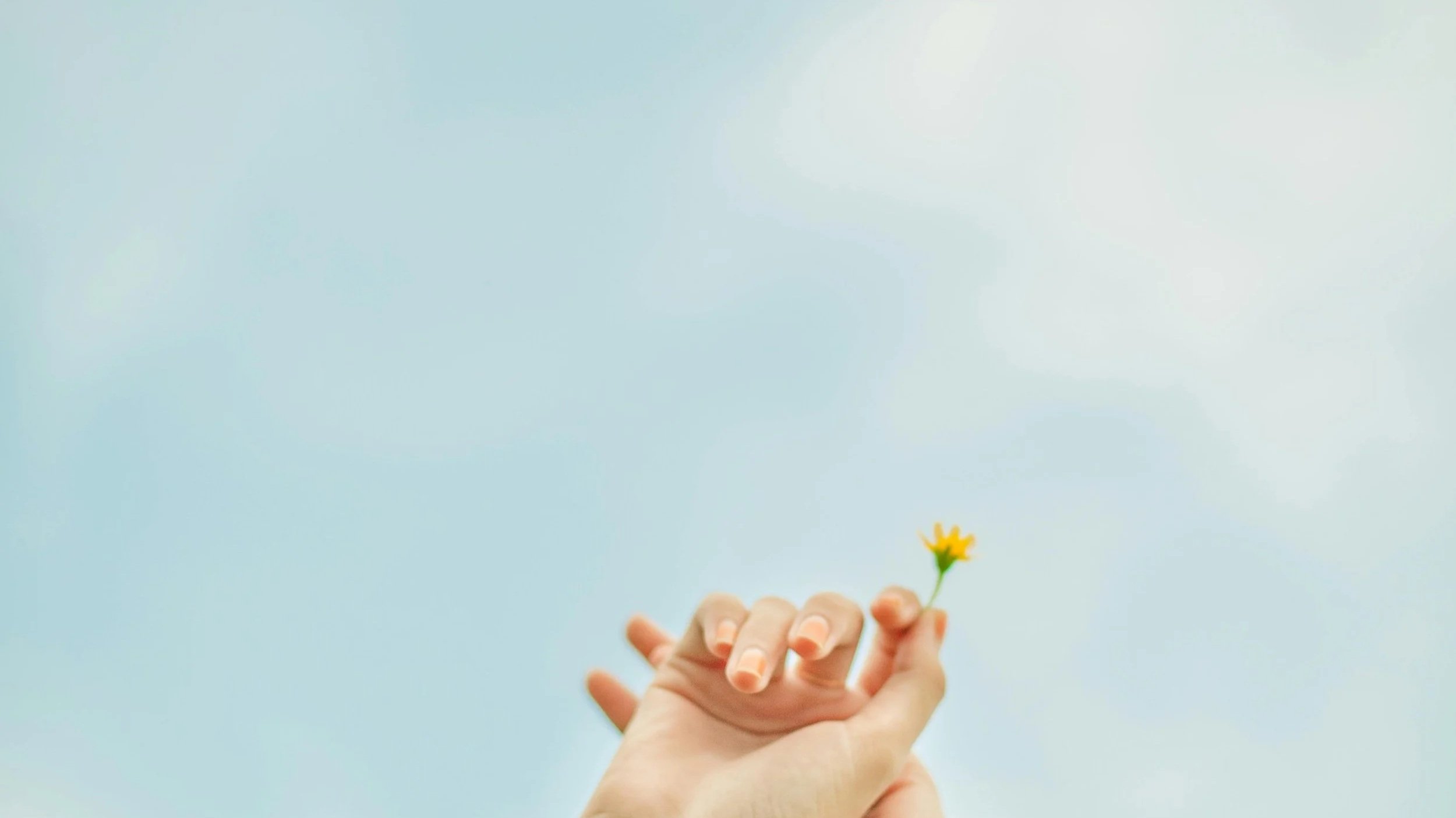 A hand holding a small yellow flower against a light blue sky with soft clouds.