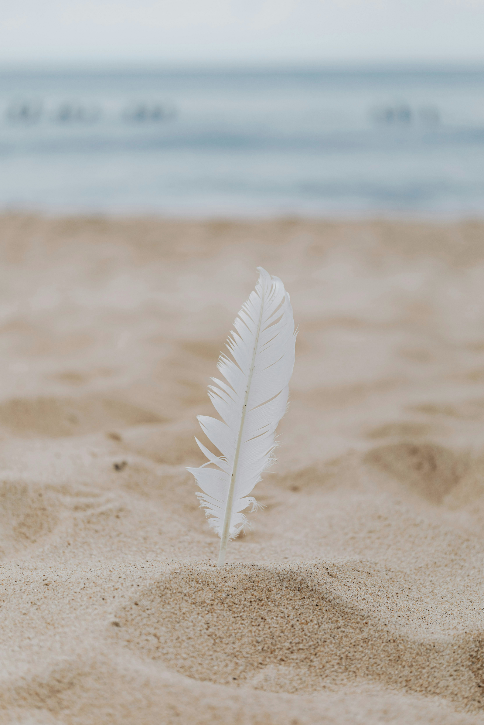 A white feather standing upright in the sandy beach with the ocean and sky in the background, representing the freedom.